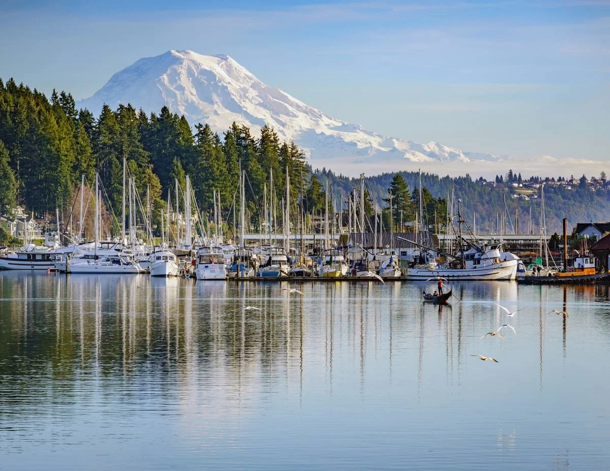 A marina with boats docked along the waterfront, lush green trees behind the boats, and a snow-capped mountain in the background under a blue sky.