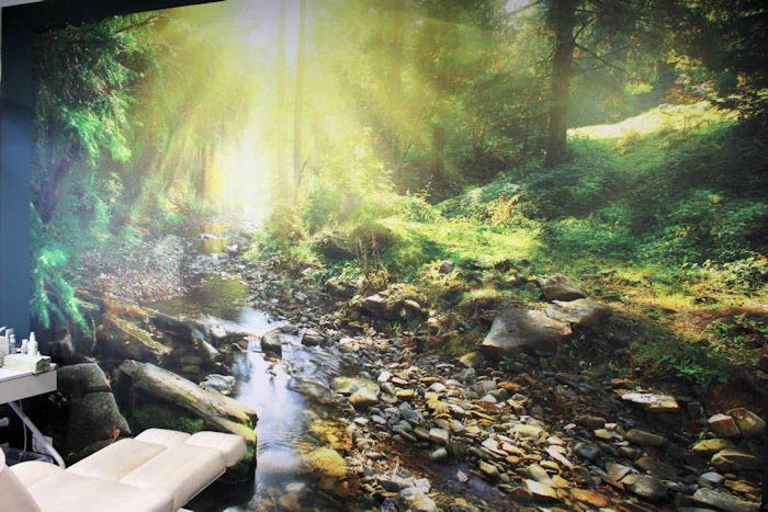 Maisemakuva metsänrinteestä, joki ja auringonsäteitä. Sisätilan seinä, jossa metsäaiheinen tapetti.