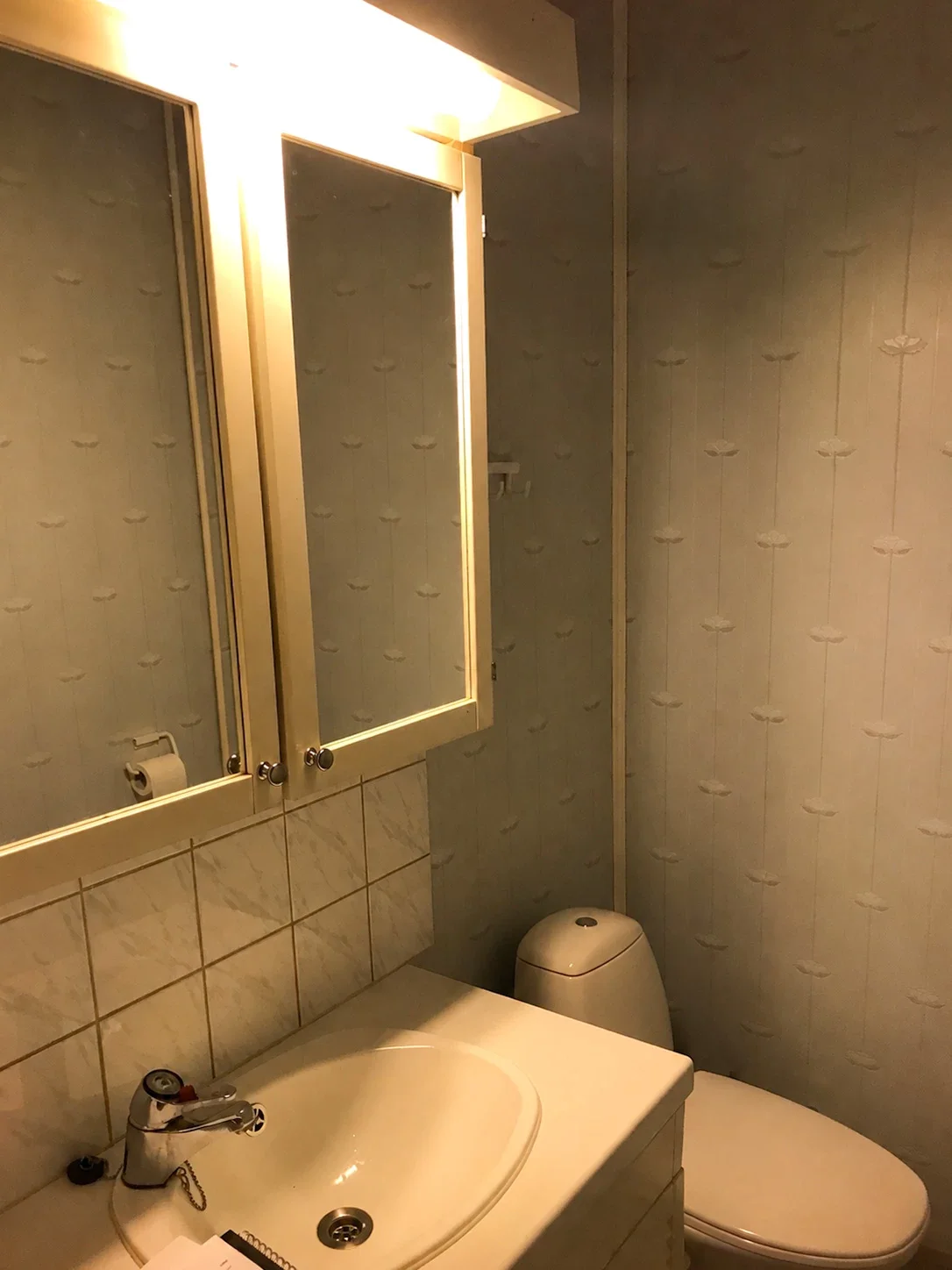 Wc, jossa pesuallas, peilikaappi ja wc-istuin. Tilassa on heikko valaistus.