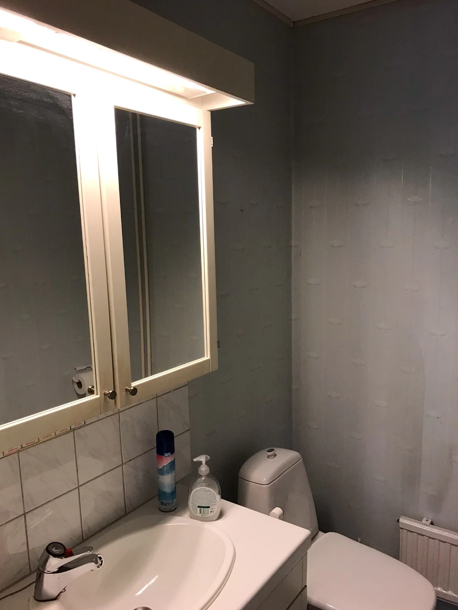 Pieni kylpyhuone, jossa on peilit, lavuaari ja wc istuin.