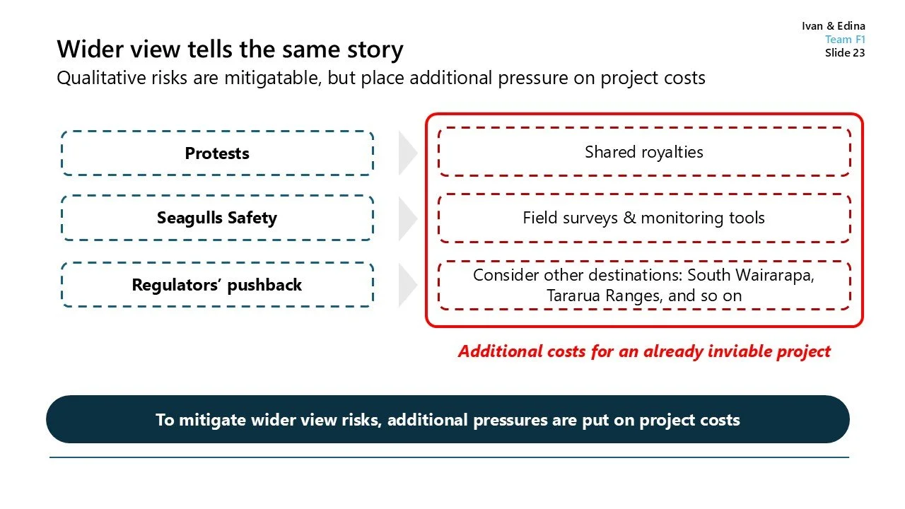 Slide titled 'Wider view tells the same story' discussing mitigating risks by adding project costs. Lists risks like protests, seagulls safety, and regulators' pushback, with resulting additional costs such as shared royalties, field surveys, and con