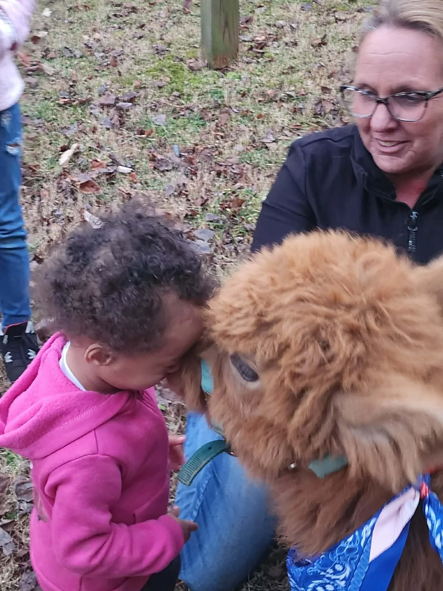 A young girl wearing a pink hoodie is being gently touched by a large, fluffy brown alpaca with a blue bandana around its neck. An adult woman with glasses, sitting nearby, observes the interaction in an outdoor setting with fallen leaves and trees i