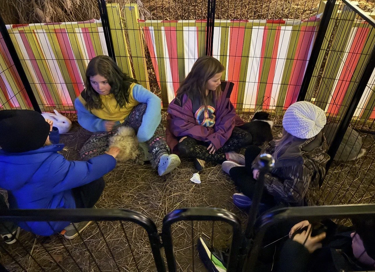 Four children inside a small animal pen with hay, each holding or tending to a rabbit.