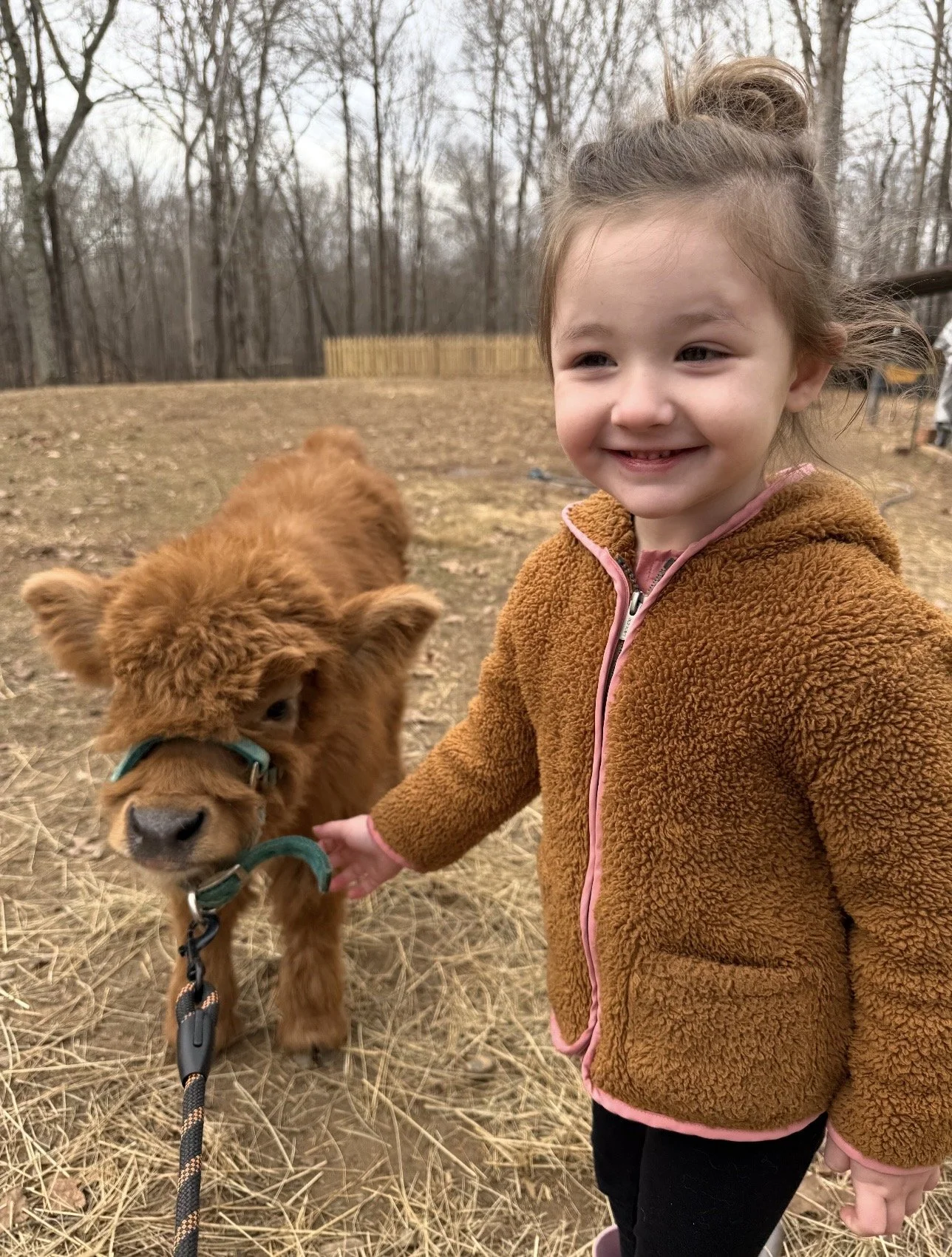 A young girl with light brown hair in a bun, wearing a brown fuzzy jacket with pink lining, stands outdoors on a dry, grassy area, holding the leash of a small, fluffy, reddish-brown puppy. The background shows leafless trees and a wooden fence.