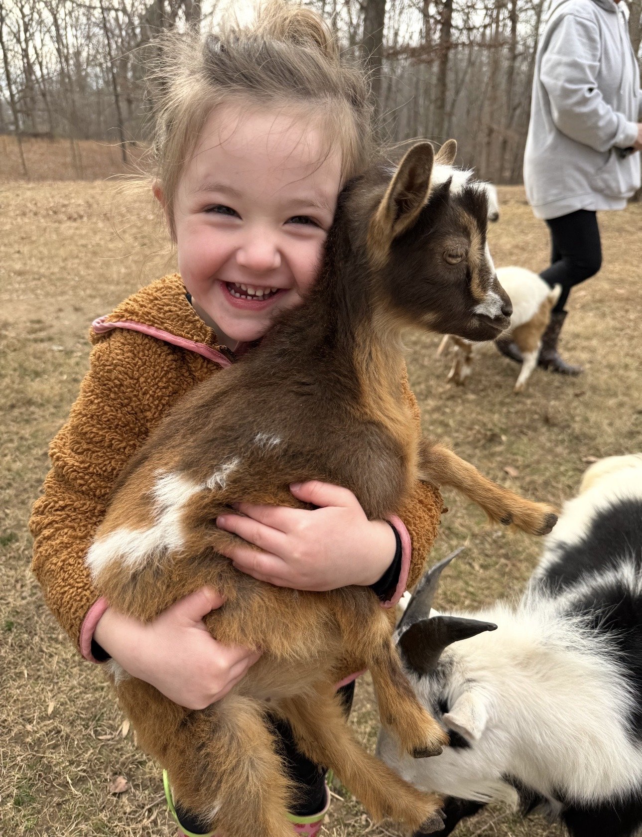 A young girl with a big smile hugging a small brown and white goat, standing on a grassy field with other goats and a person in the background.