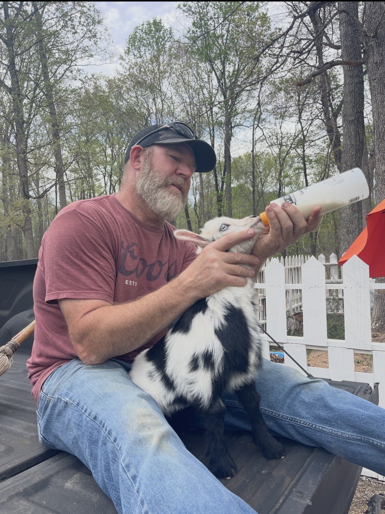 A man with a beard feeding a baby goat with a bottle in an outdoor setting with trees and a white picket fence.