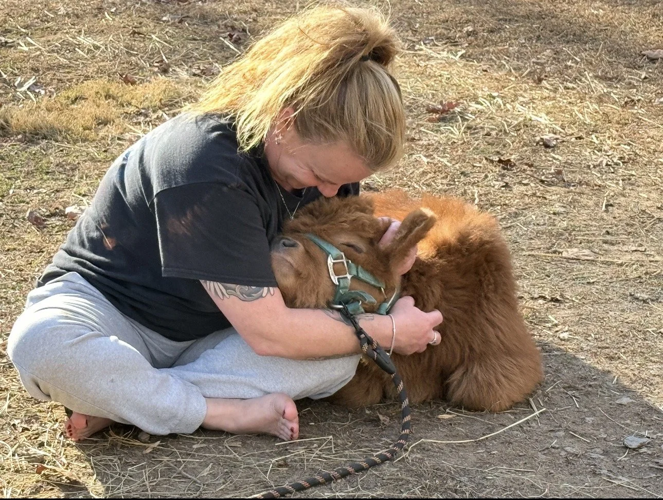 A woman with blonde hair sitting on the ground hugging a brown calf. The woman is smiling and appears happy, while the calf is lying on its side, leaning into her embrace.