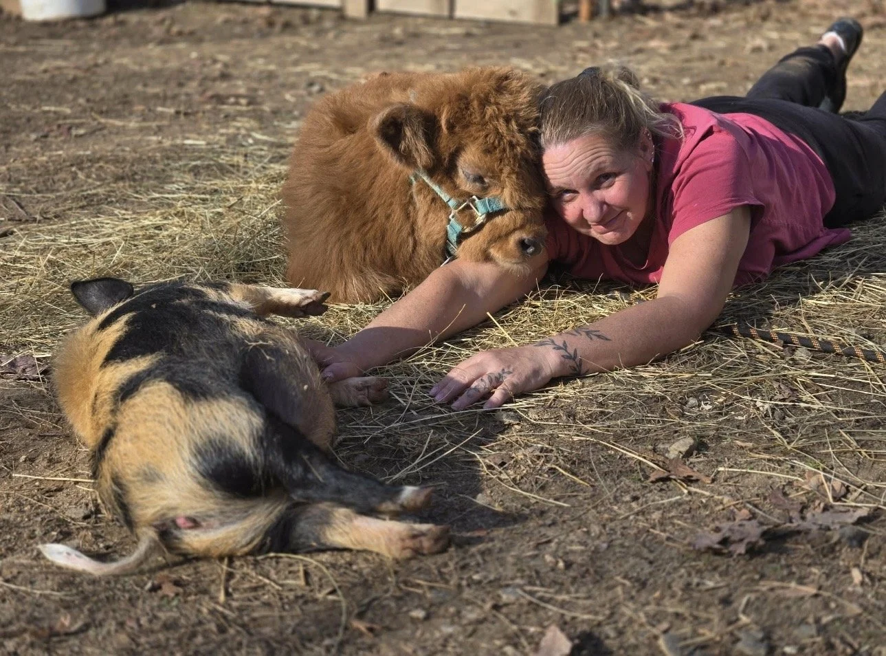 A woman lying on the ground with a piglet and a piglet laying next to her, and a chimpanzee resting its head on her arm, all on a bed of straw on the ground.