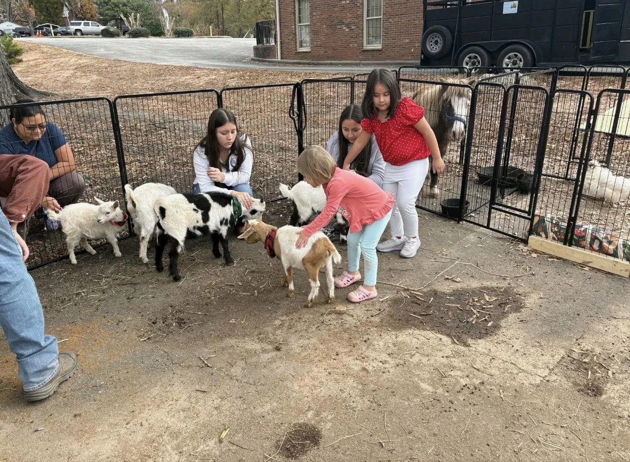 Children and adults petting and interacting with goats inside a fenced pen at a petting zoo.