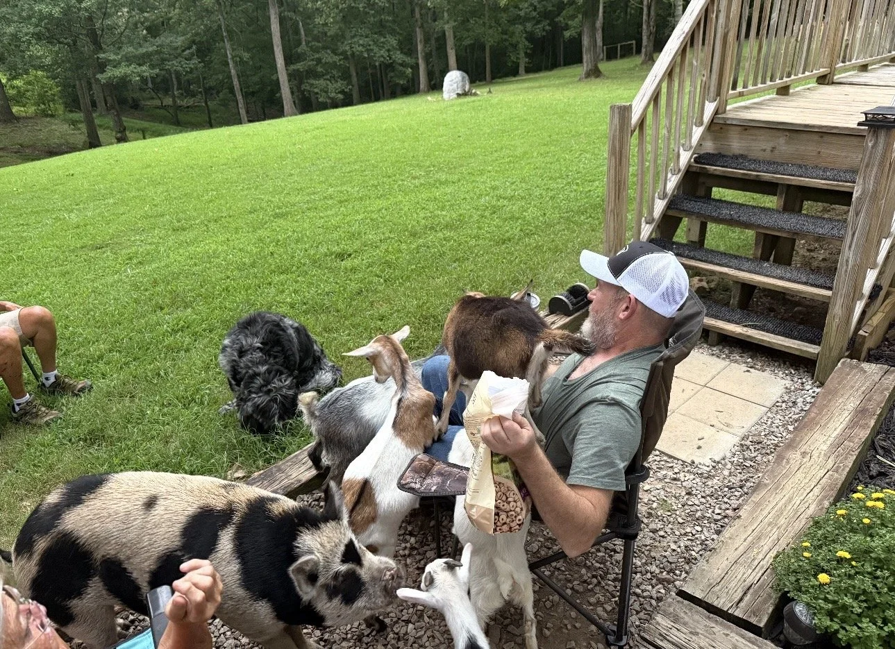 A man sitting in a chair outdoors on a wooden deck, surrounded by goats, a piglet, a dog, and a child. The scene is set on a grassy lawn with trees in the background.
