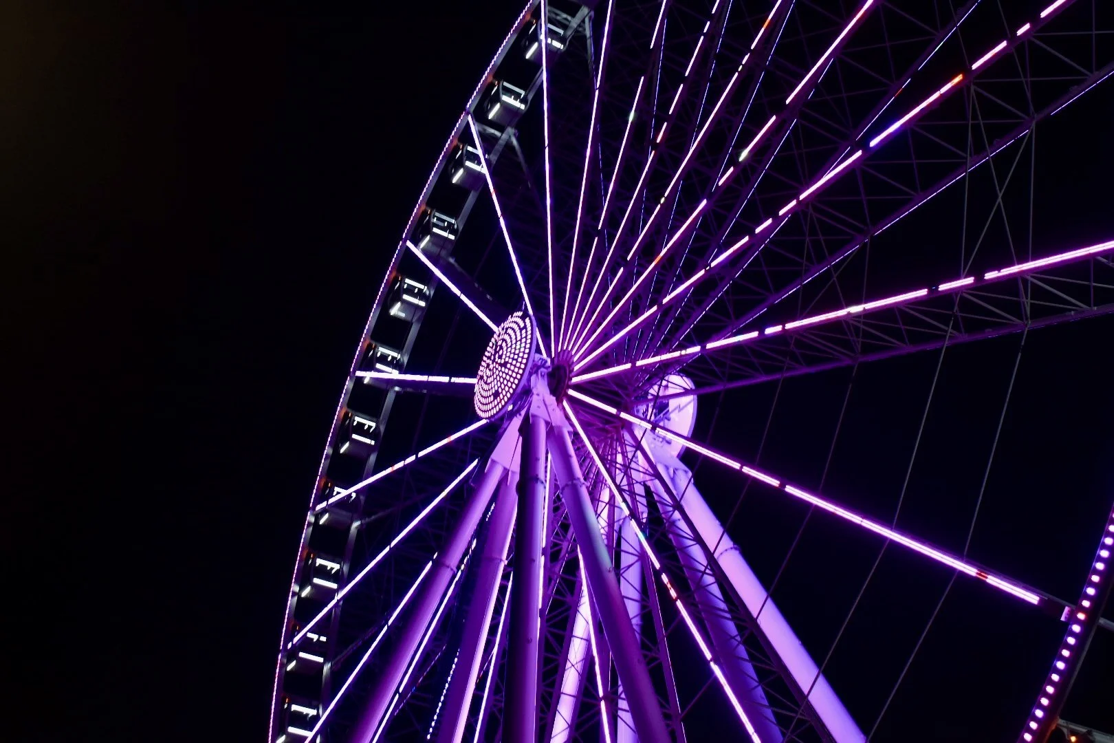 DSC_0804.jpeg