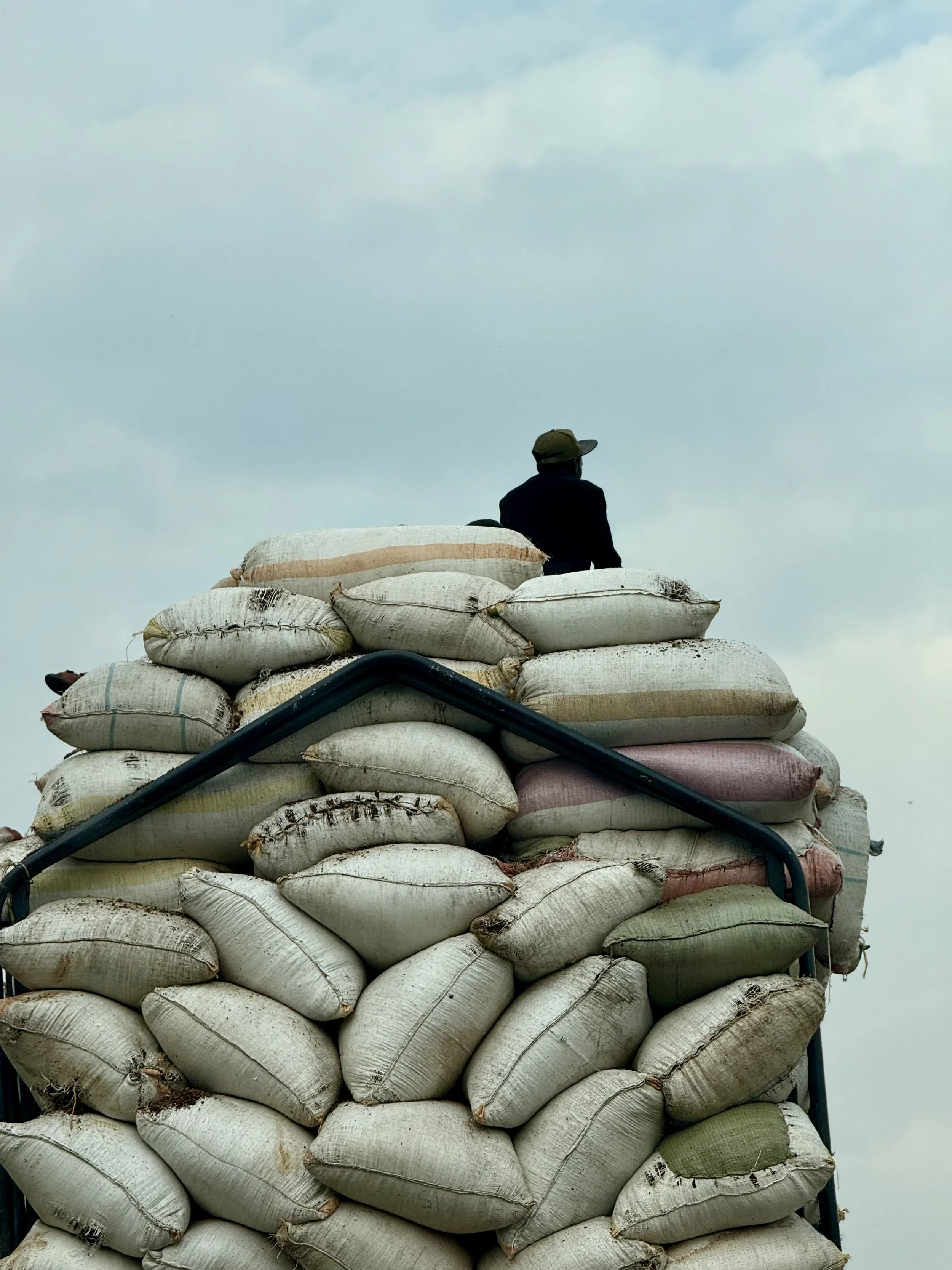 A person sitting on top of a load of stacked large sacks or bags outdoors under a cloudy sky.