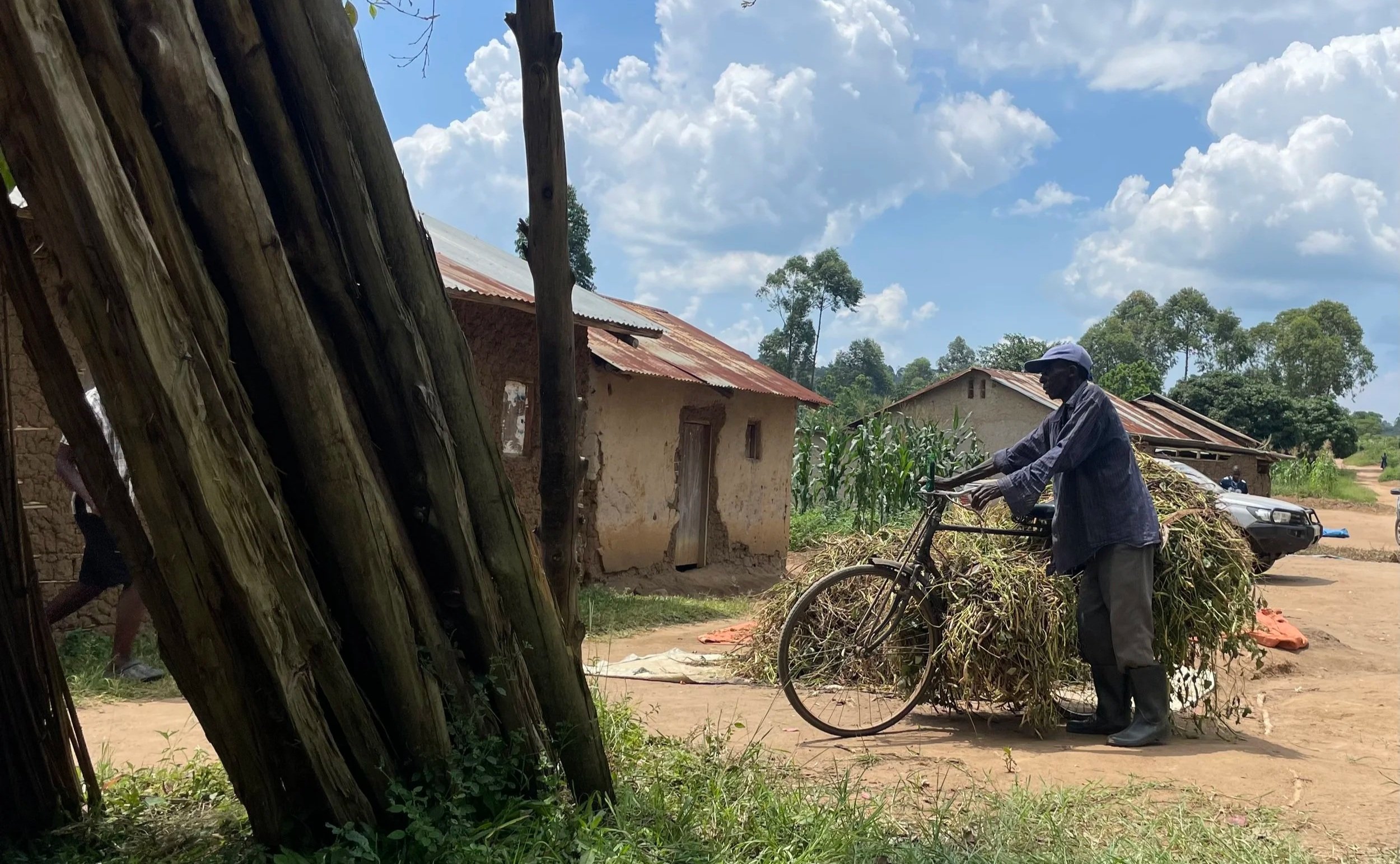 A man pushing a bicycle loaded with grass along a dirt road in a rural village with small houses and trees under a partly cloudy sky.