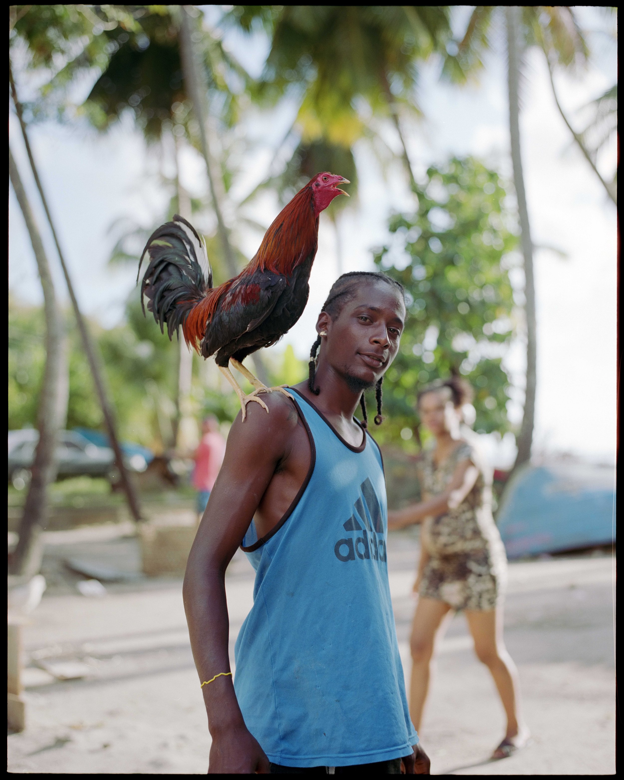 Addias_CocK copy 2.jpg