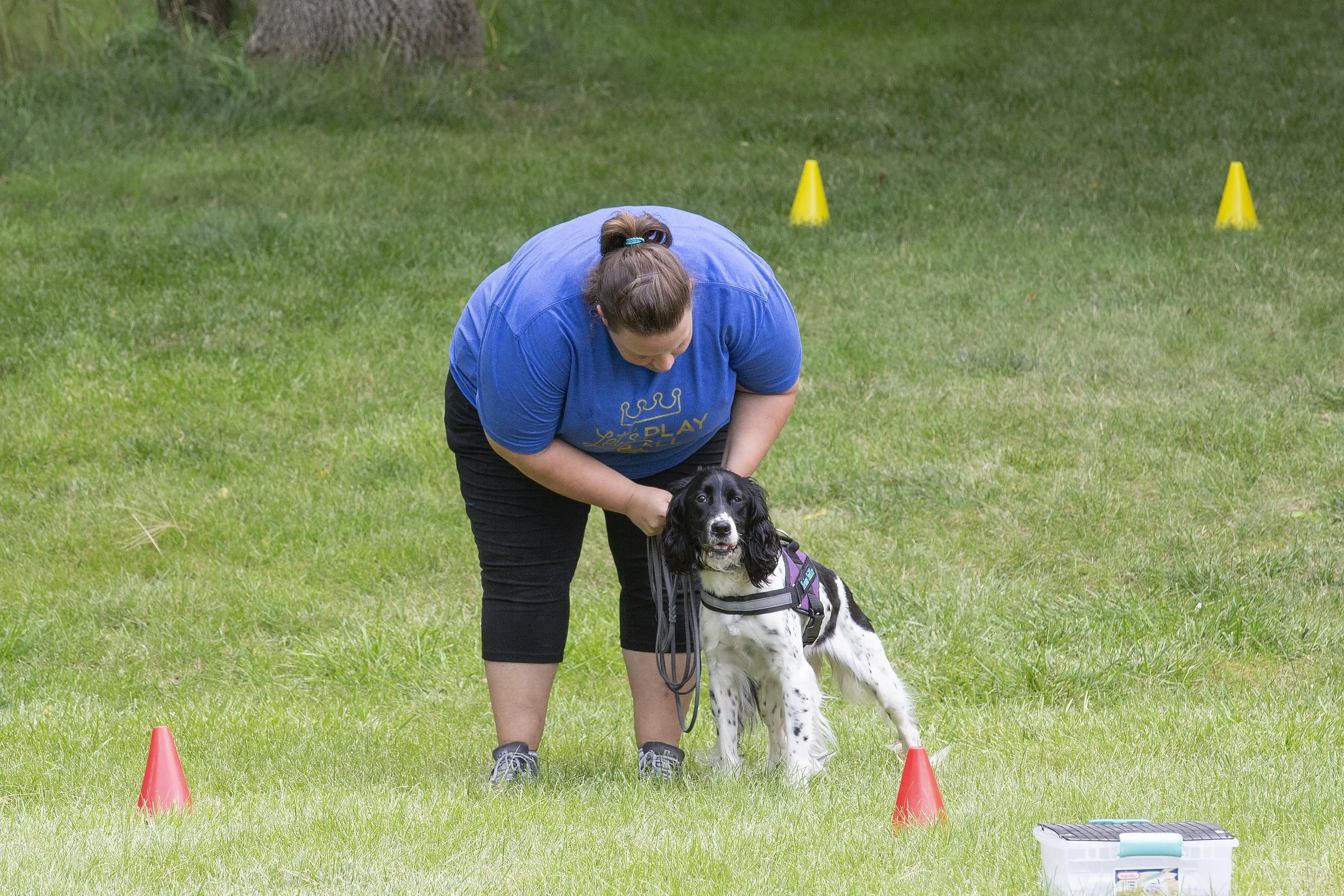 A woman in a blue shirt and black pants training a black and white dog in an outdoor grassy area with yellow cones.