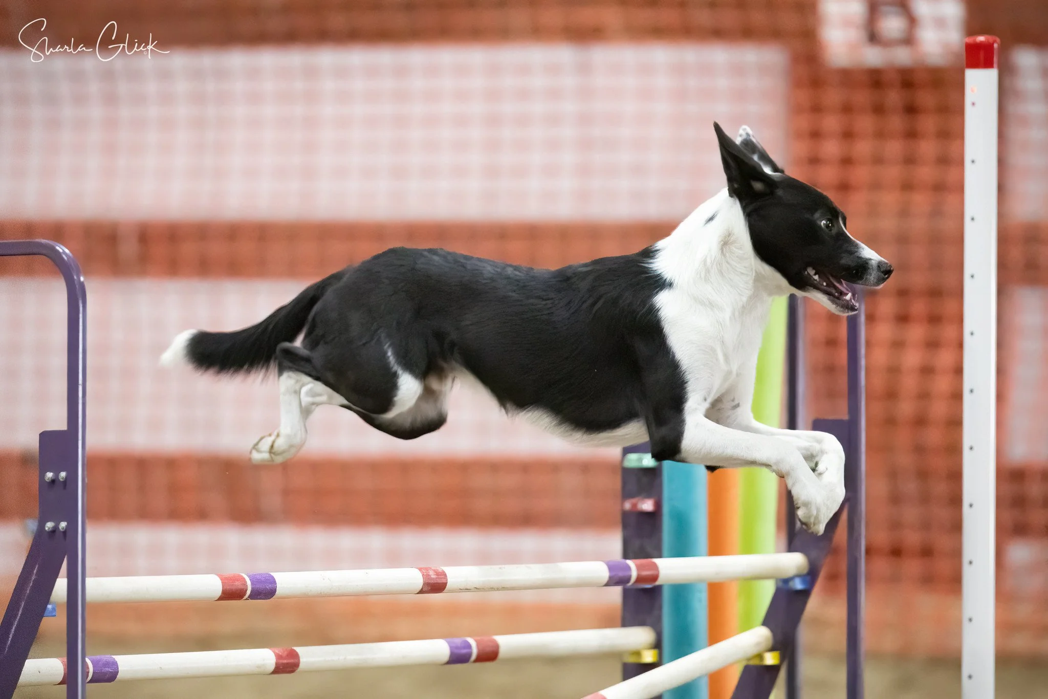 DMOTC1024S4sg24101913_4882-Edit copy-Medium-2048.jpg