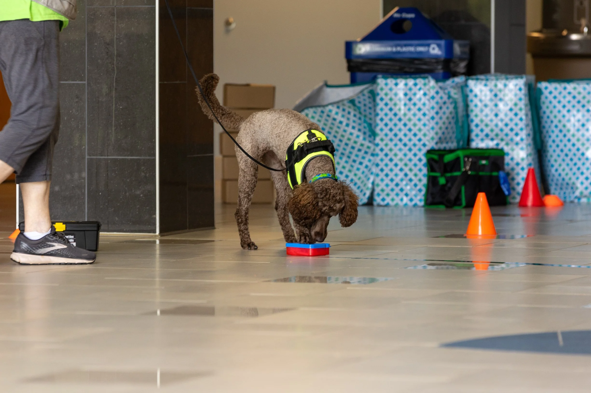 July 2023 NKC Excellent Container.JPG