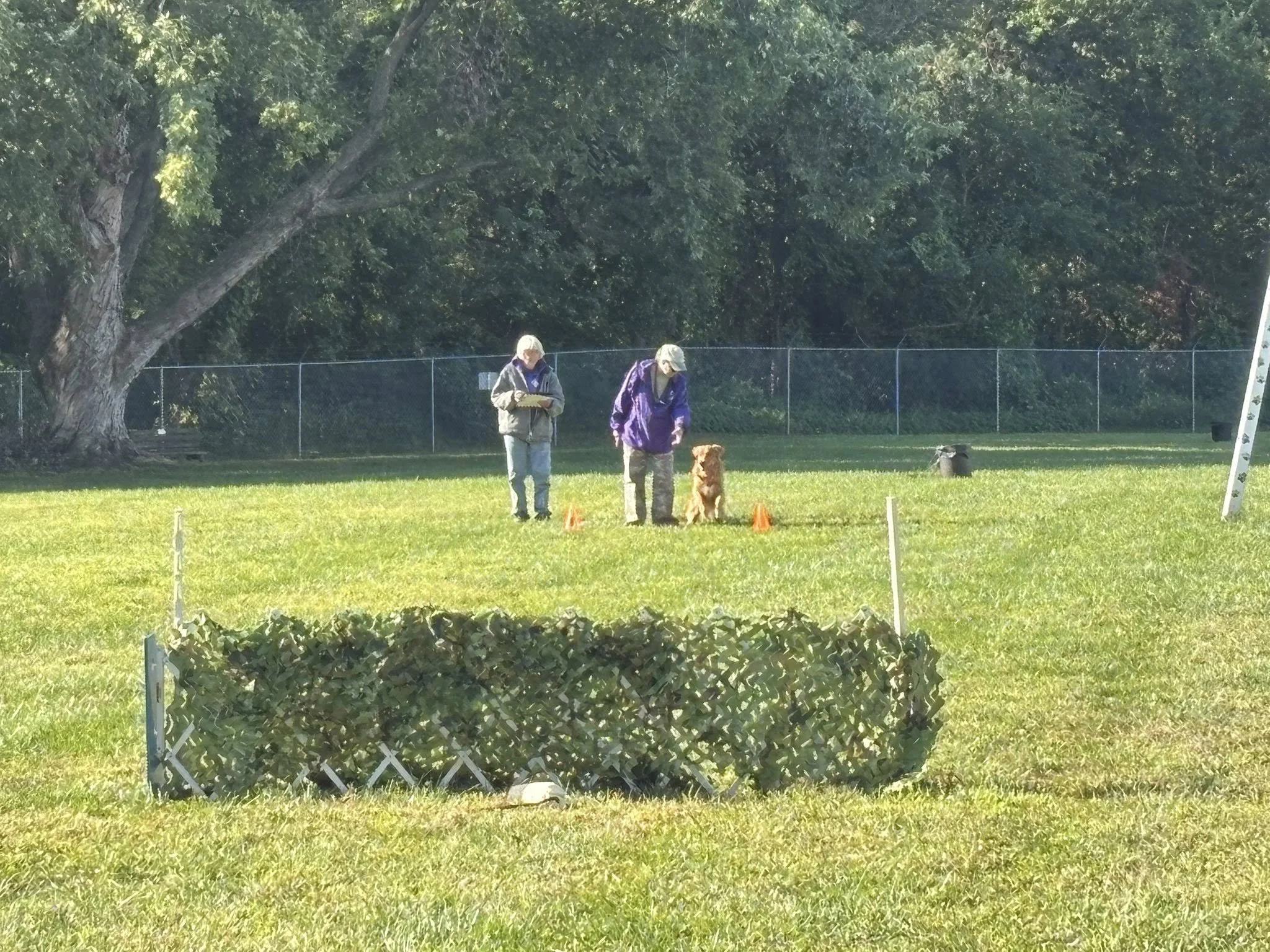 Two women and a dog participating in a dog training class in a grassy park, with orange cones marking the training area and a chain-link fence in the background.