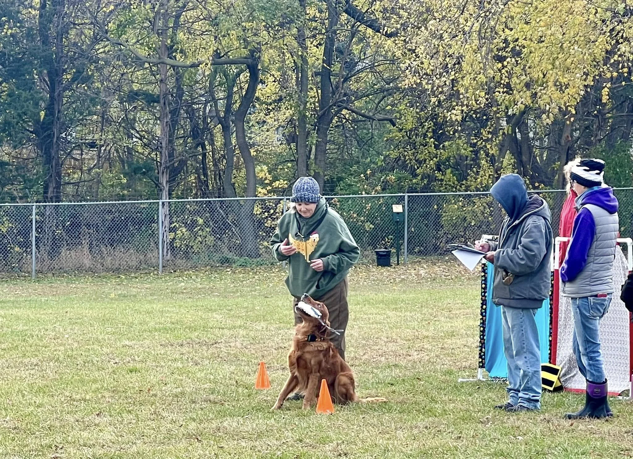 A dog training session in a park with a trainer, a dog sitting between two orange cones, and three people observing, all dressed warmly for fall weather.