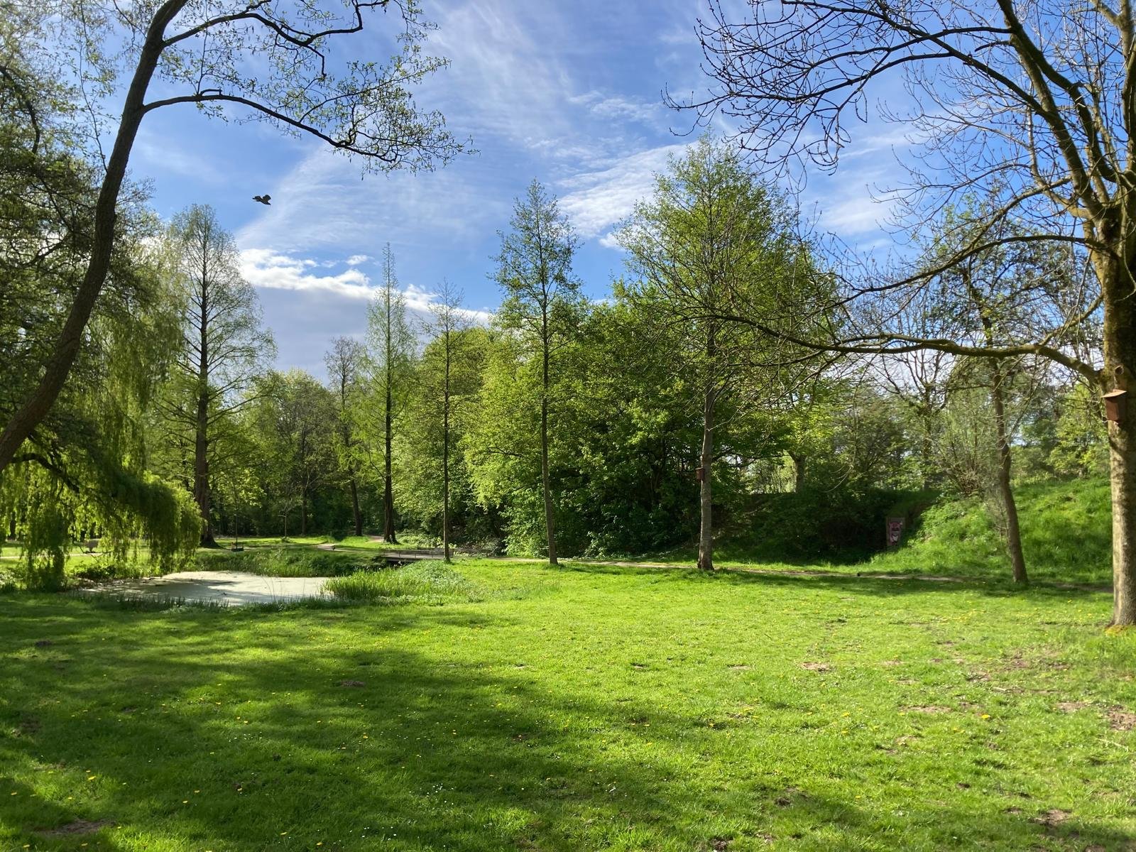 Free Spirit Yoga, Yoga Zwolle