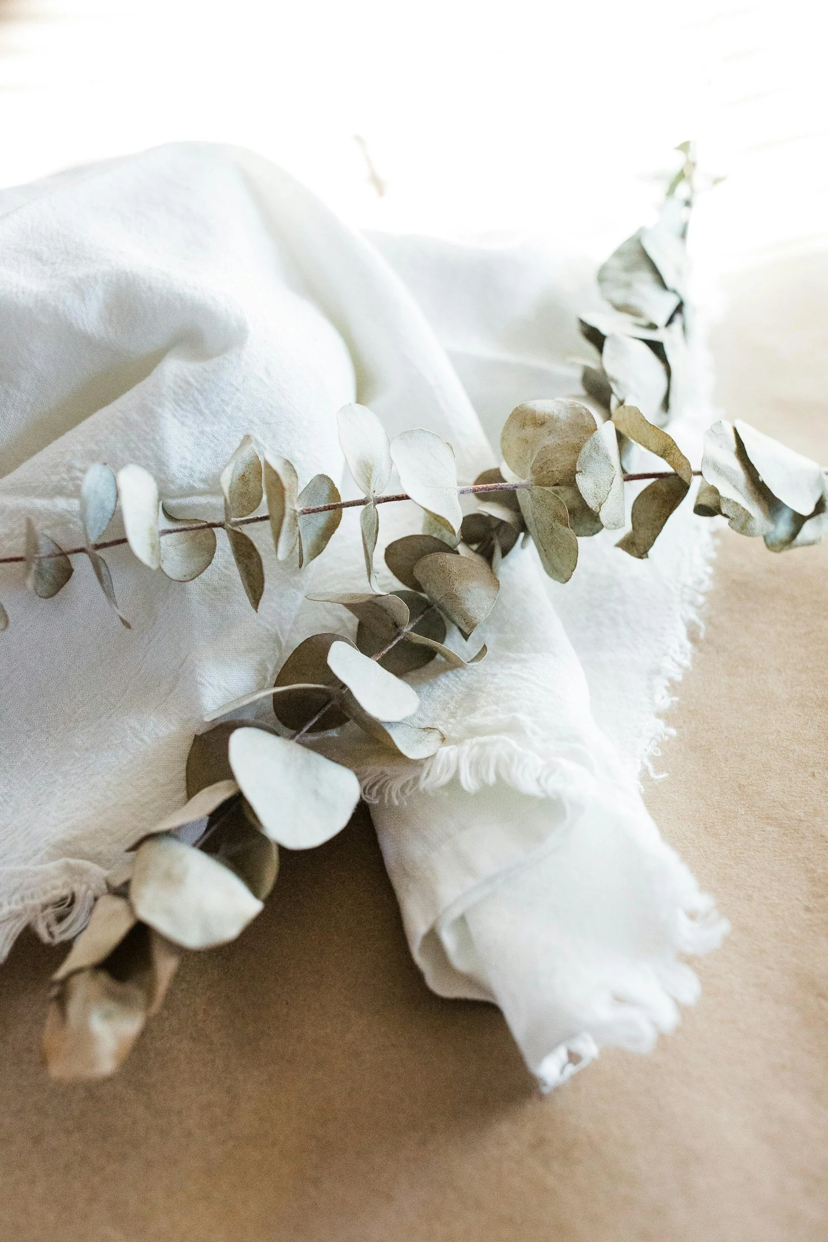 Dried eucalyptus branch on off-white fabric with frayed edges, on tan background.