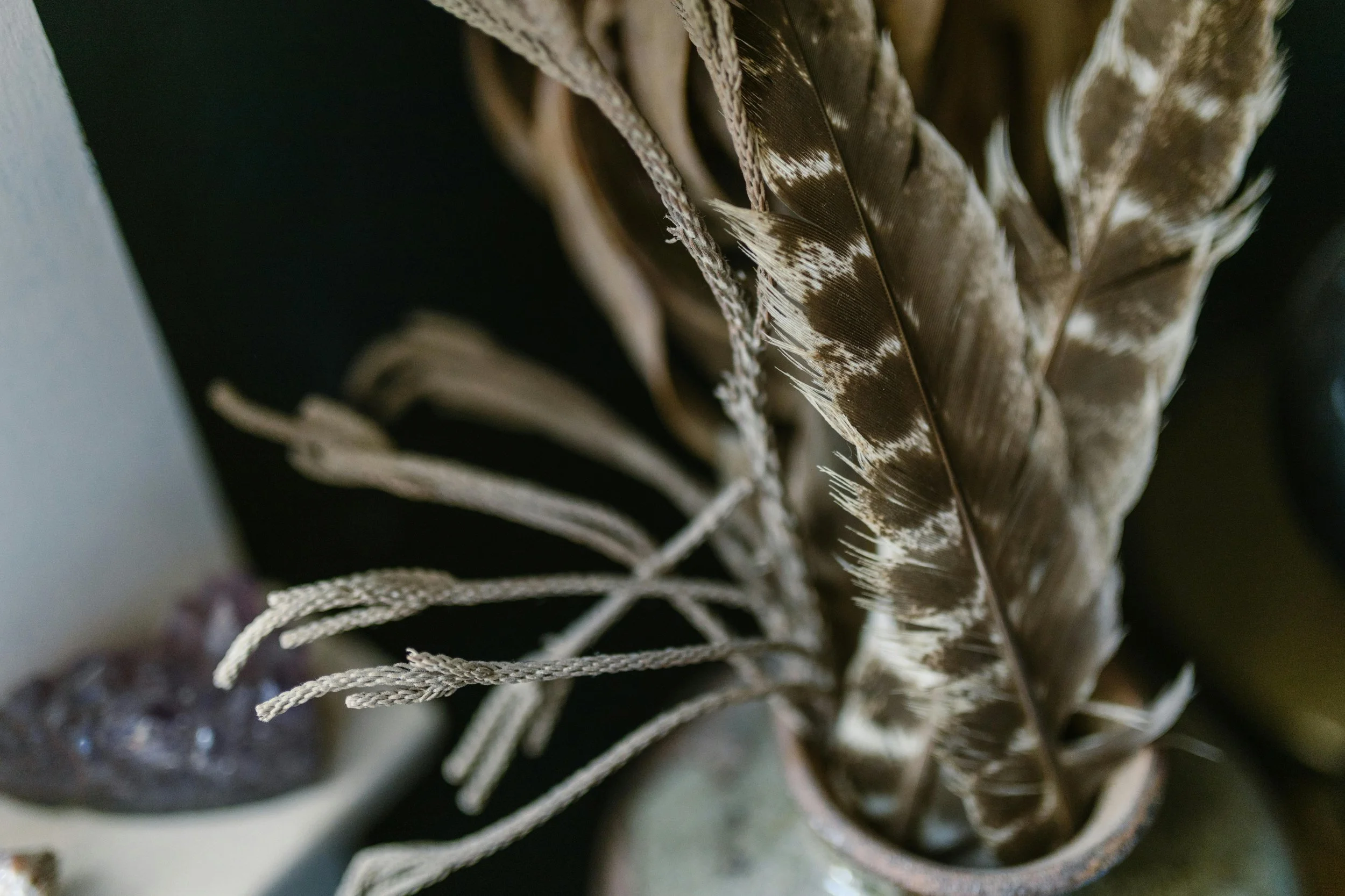 Close-up of brown and white feathers in a container with some twine or thread nearby.