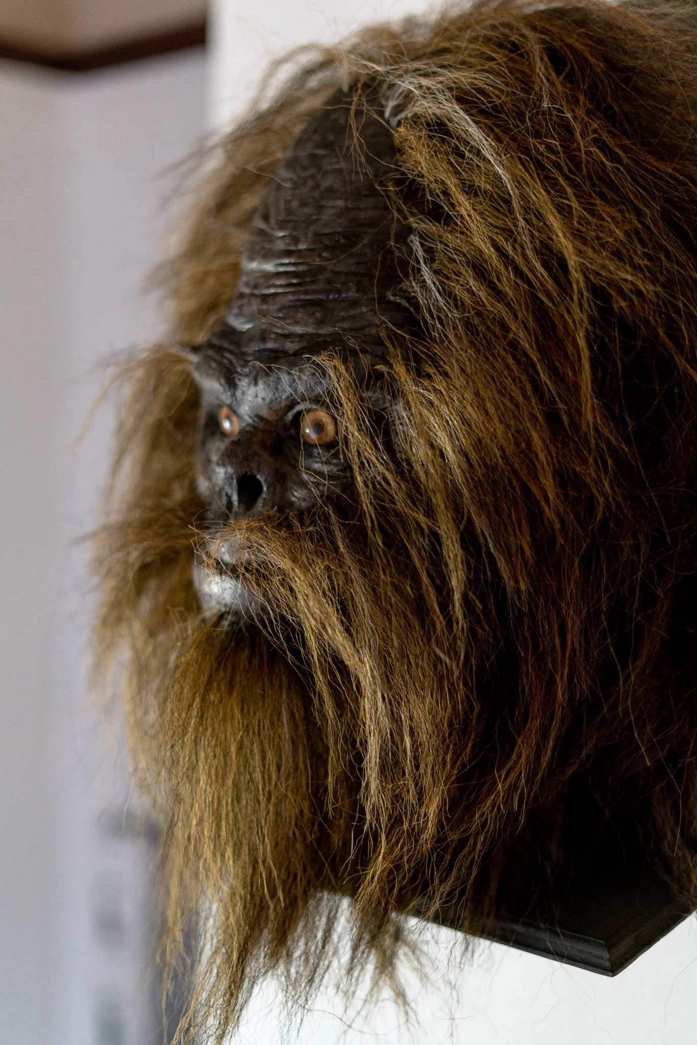 DSC03386.jpg