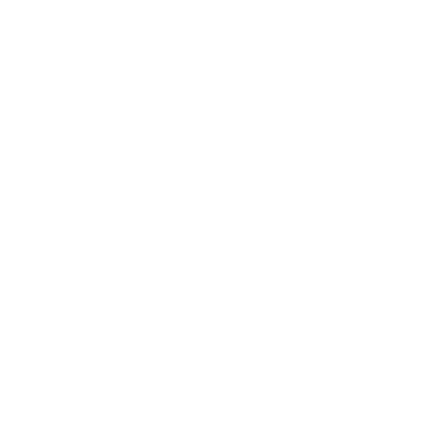 Veritas Recovery