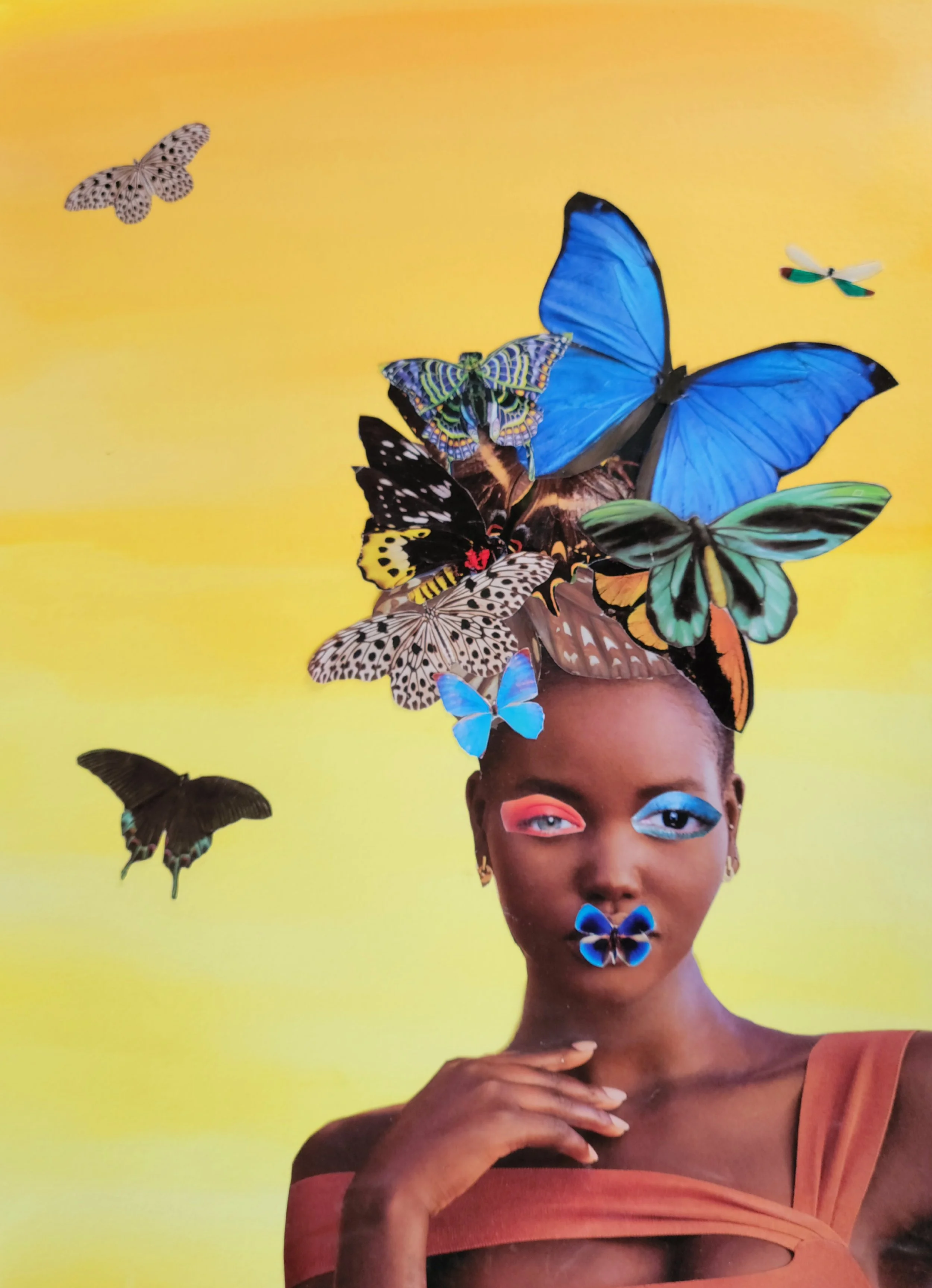 Reina de mariposas.jpg