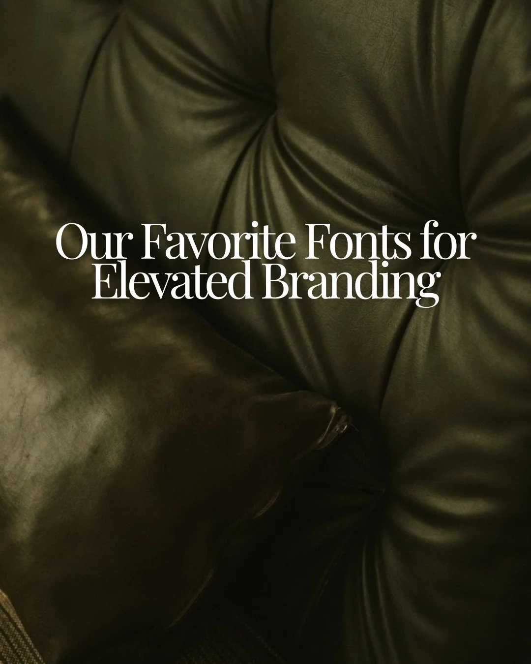 Fonts can completely change the feeling of a brand before someone even reads the message.

Lately we&rsquo;ve been drawn toward typefaces that feel editorial, intentional, and a little cinematic. The kind of fonts that make a design feel like a campa