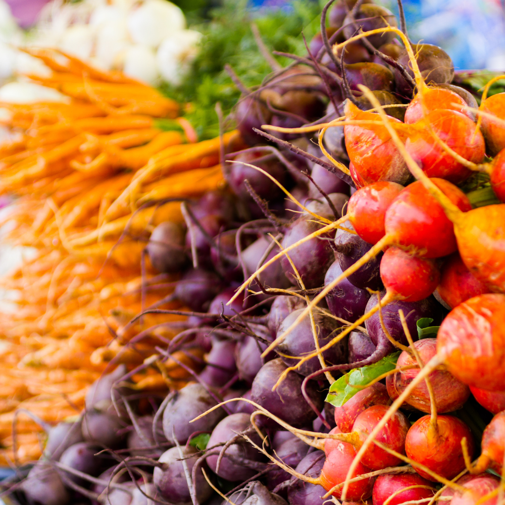Freshly harvested red, purple, and orange radishes arranged in bunches with green leaves.