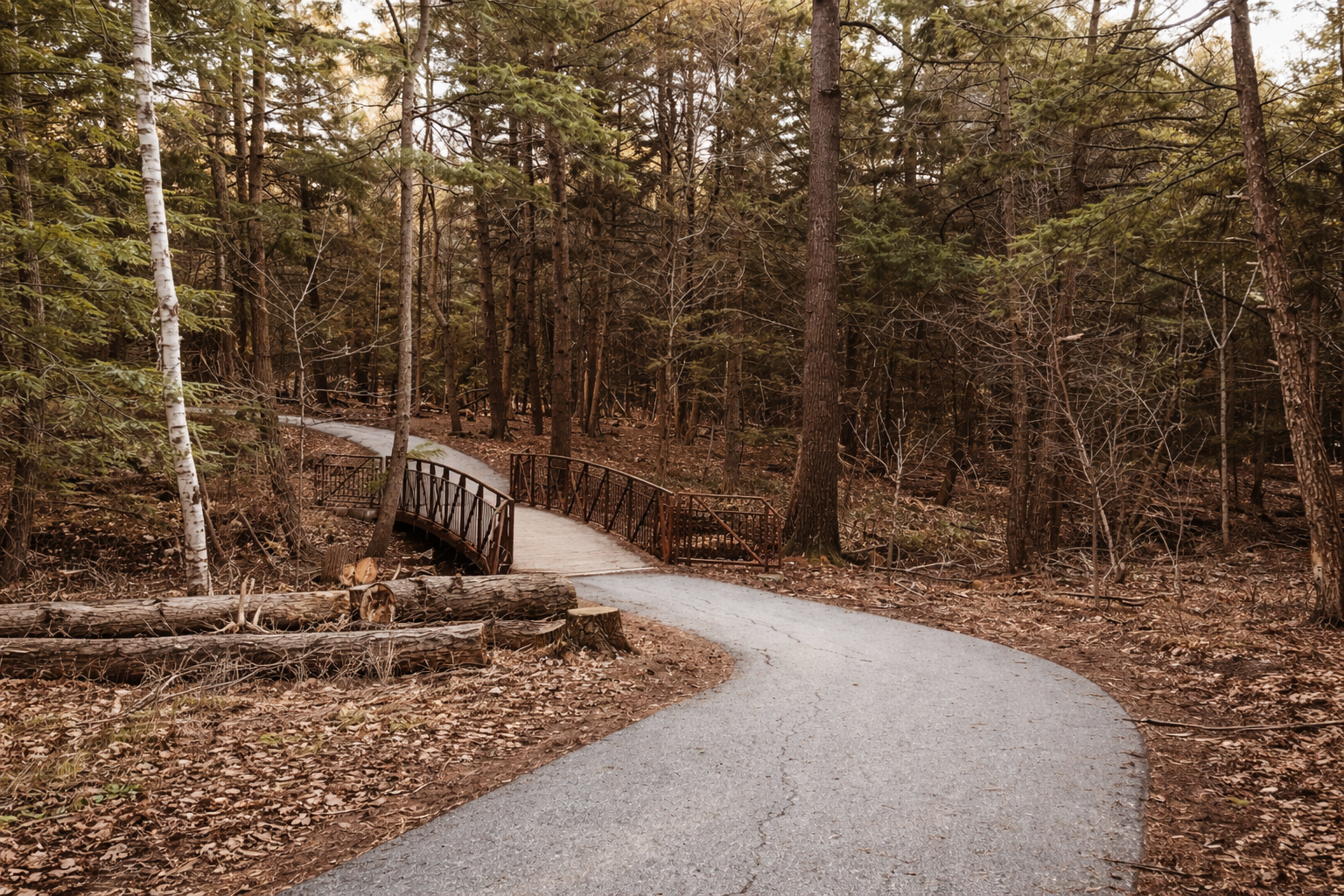 Setting Foot on the Path