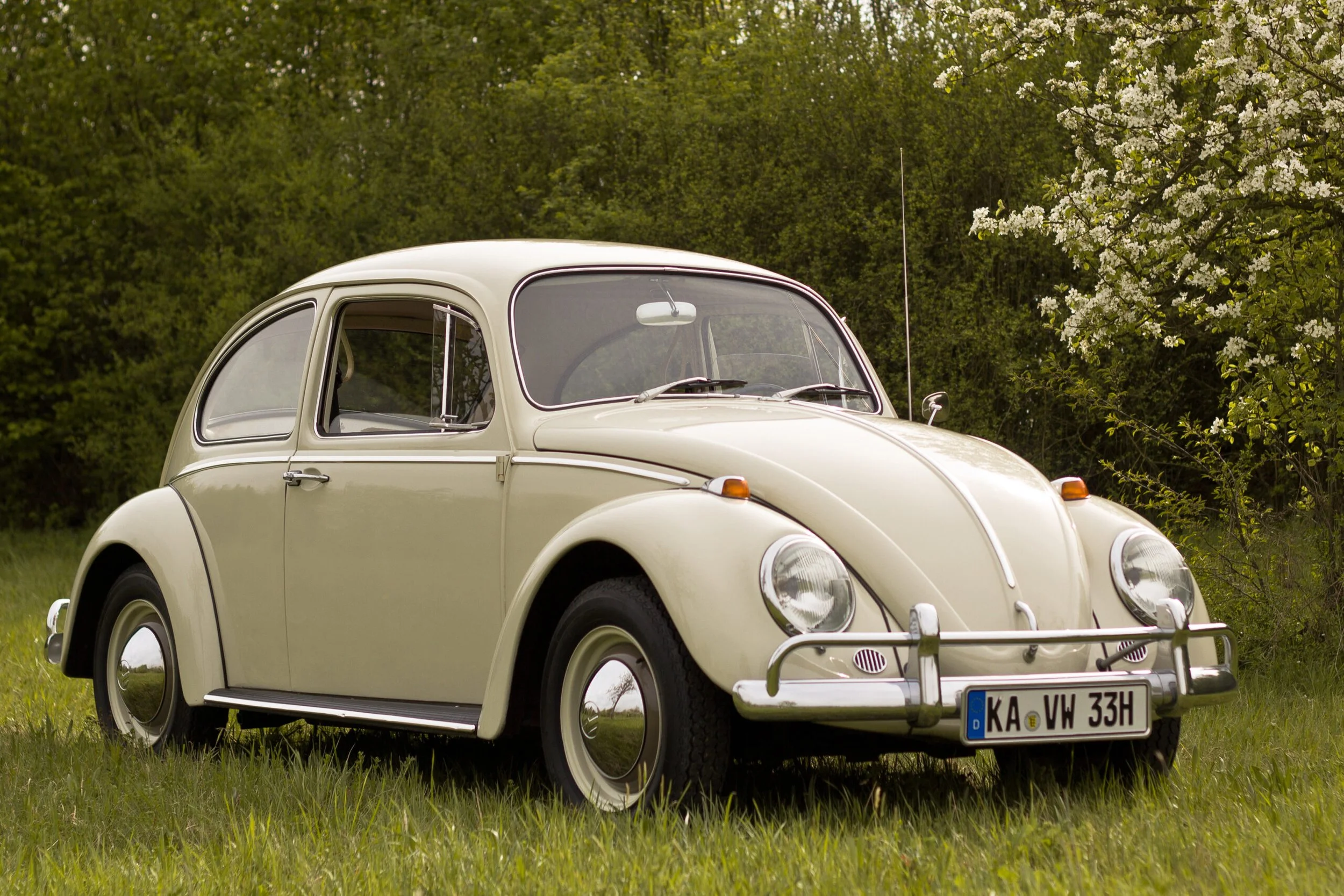It’s Not Ok To Have a Volkswagen Parked On Your Chest