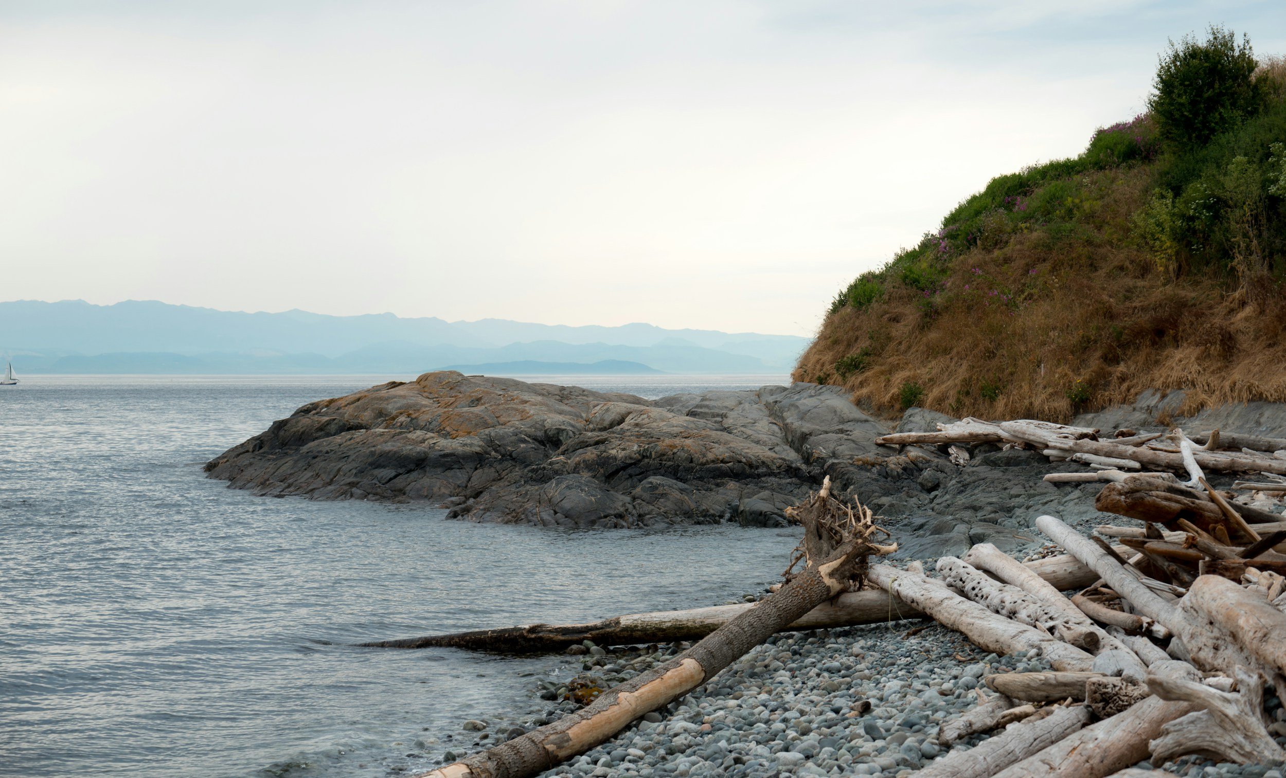 A rocky shoreline with driftwood scattered on pebbles, a hillside with green and flowering bushes, calm water, and distant mountains under a cloudy sky.
