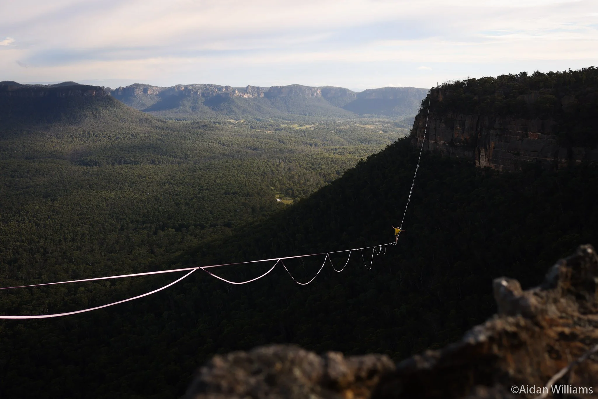 A person walking on a highline stretched across a gorge with a forested valley below and cliffs in the background.