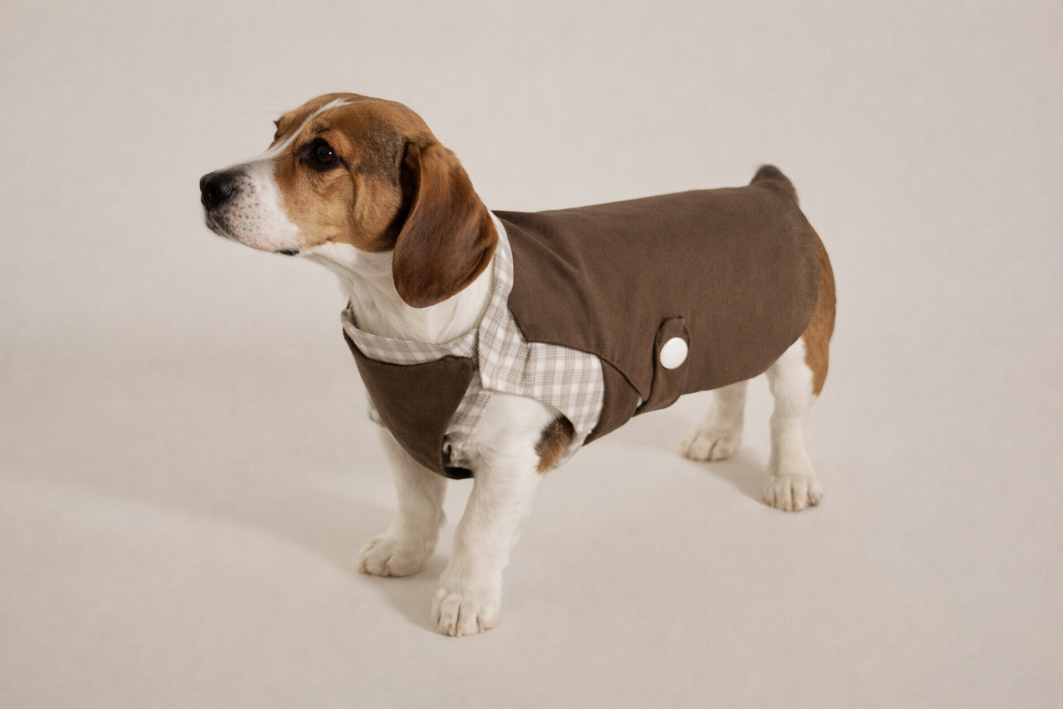 An image of The Cultural Center.