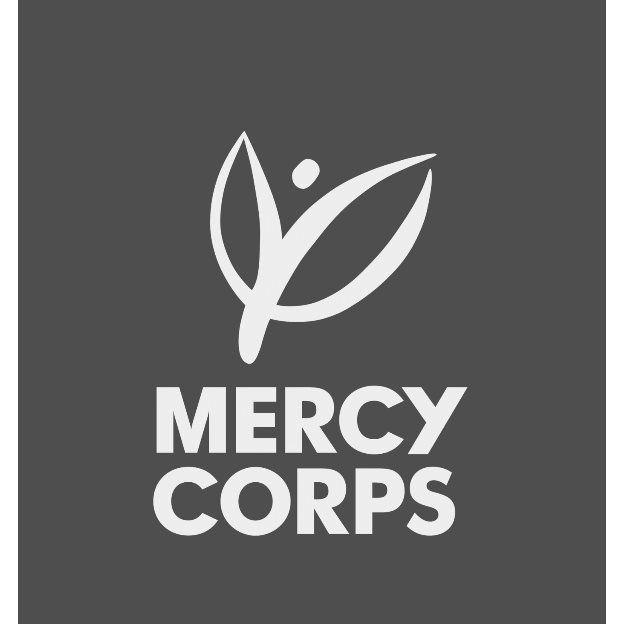 mercy corp.png