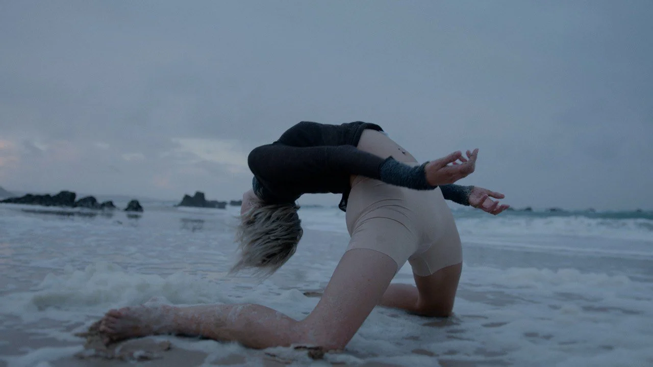 IMAGE 2026-01-17 12:11:27.jpg