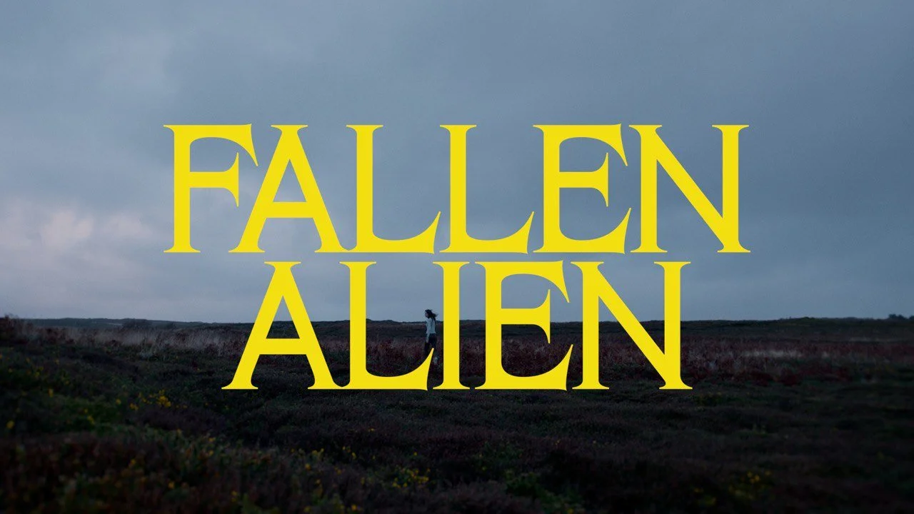 IMAGE 2026-01-17 12:11:54.jpg