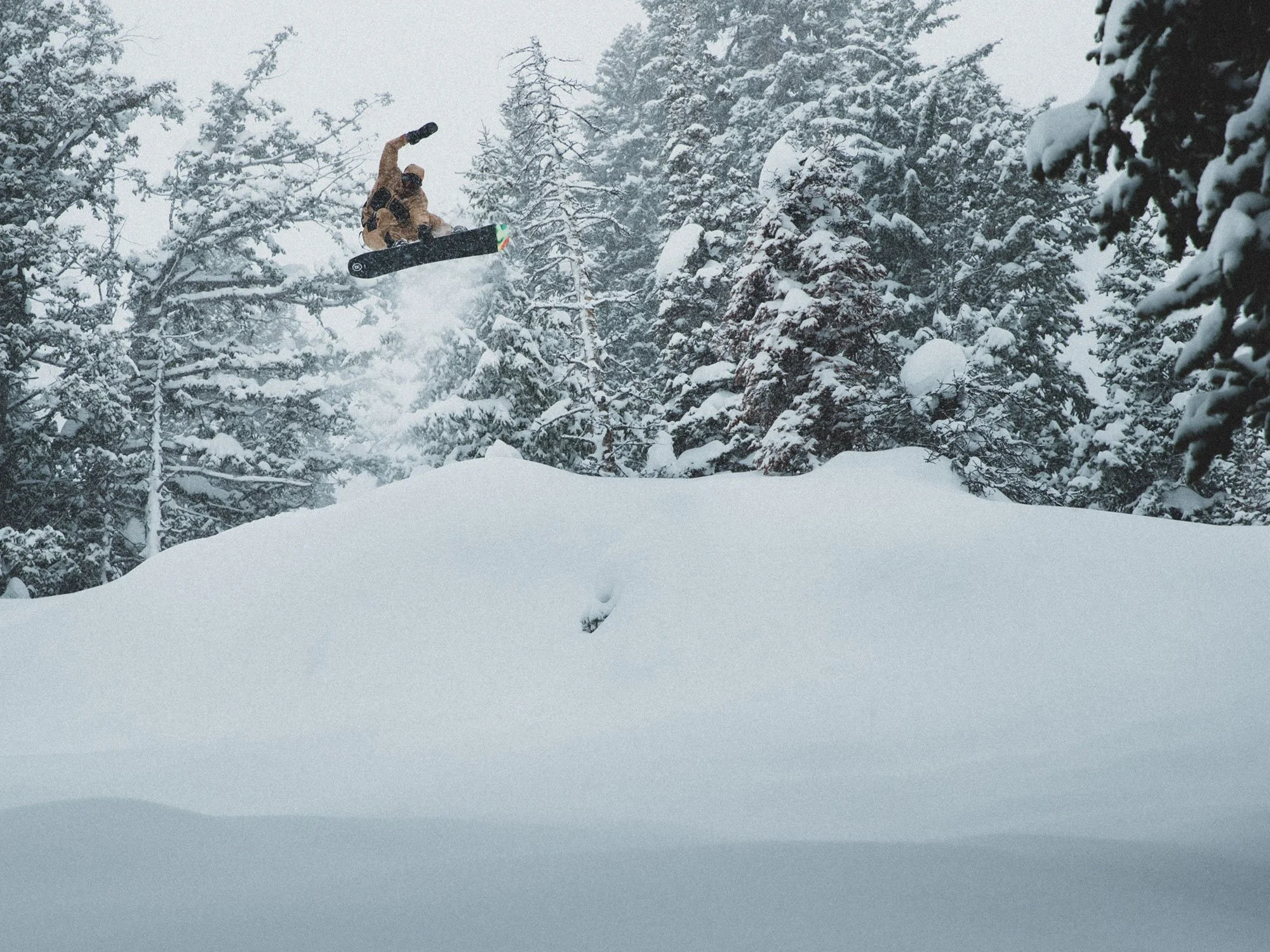TNF Freeride SideCut '23