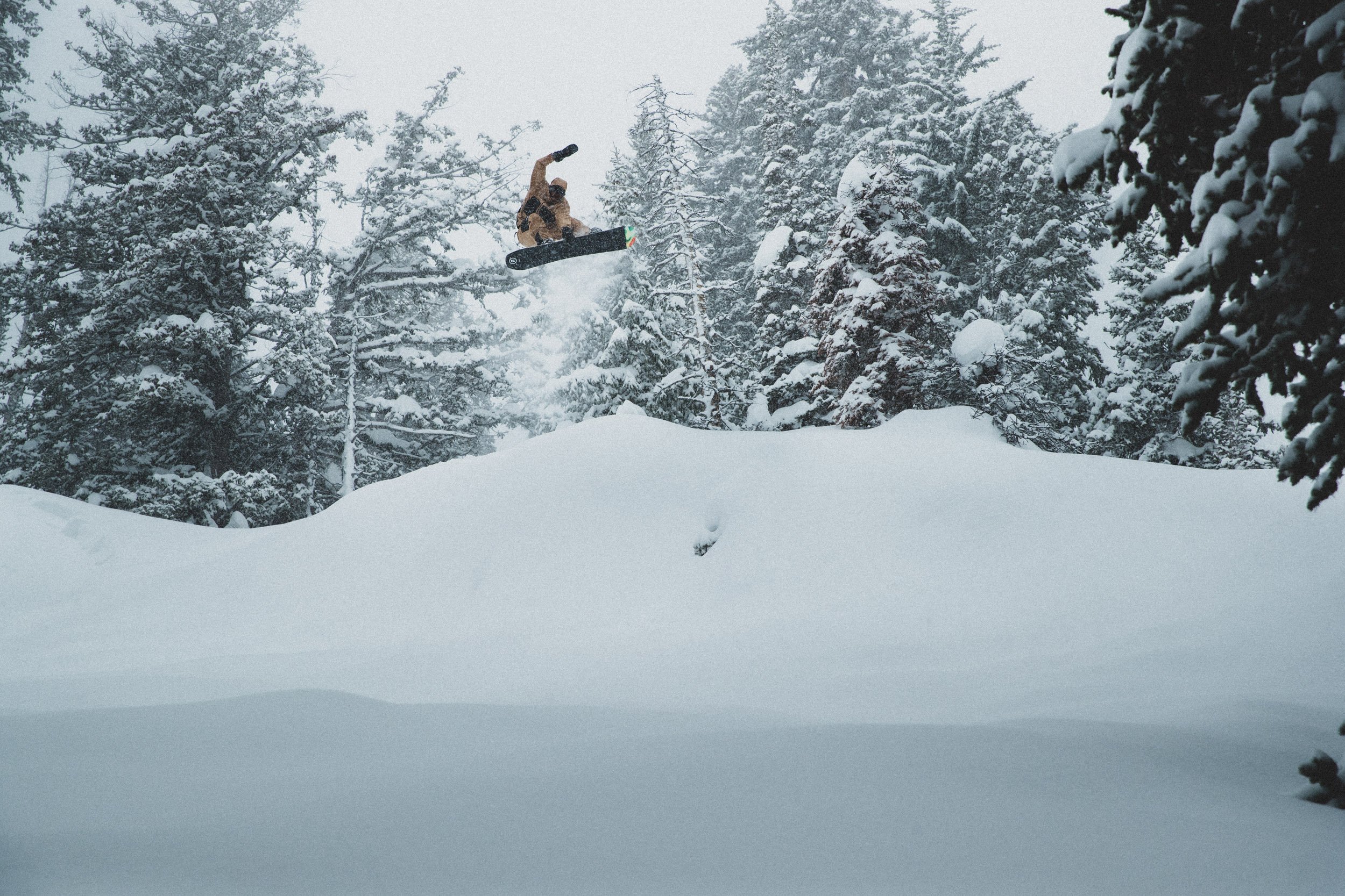 TNF_FW23_Freeride_SideCutGTX_Plumb-20.jpeg