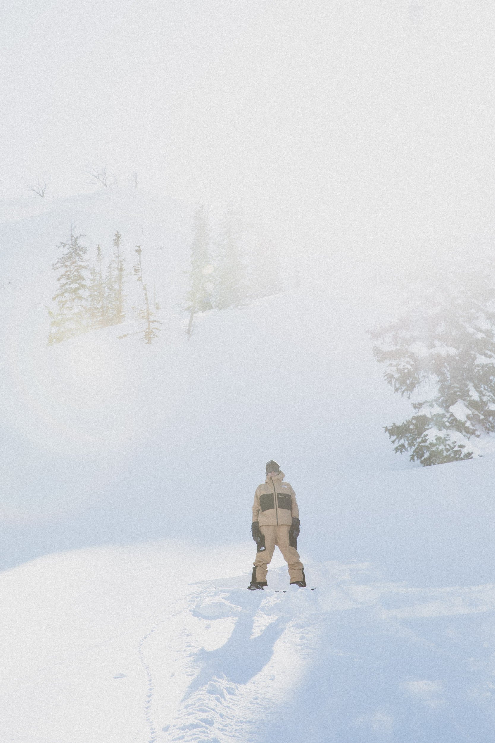 TNF_FW23_Freeride_SideCutGTX_Plumb-34.jpeg