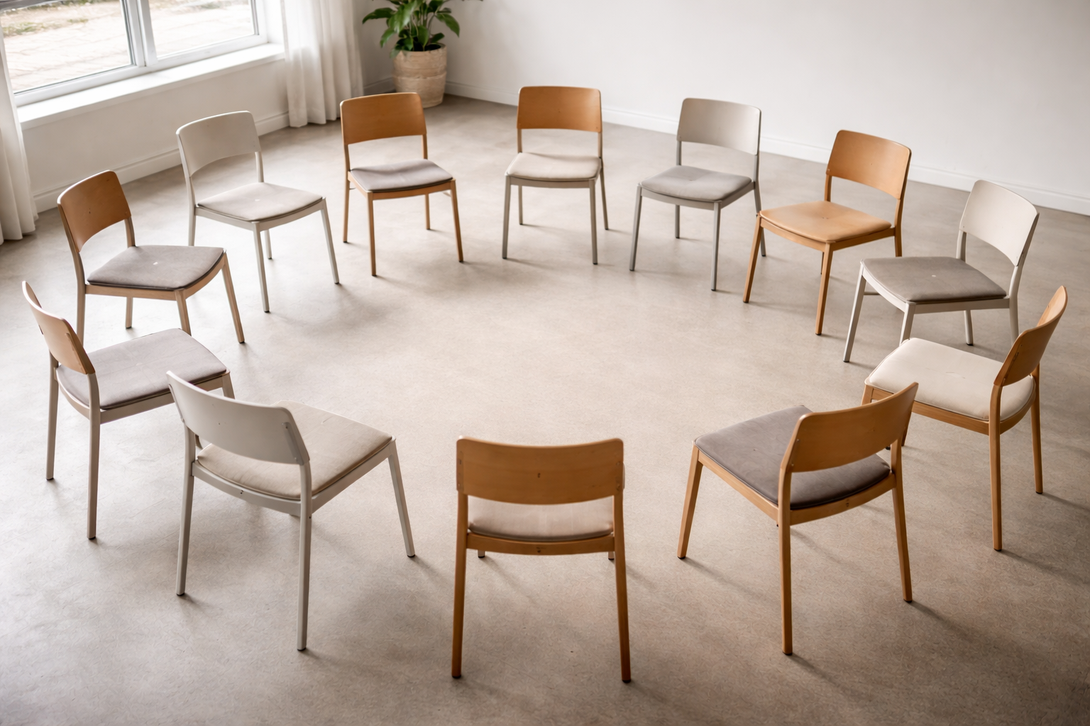 A circle of wooden and cushioned chairs in a bright room with a large window and a potted plant.