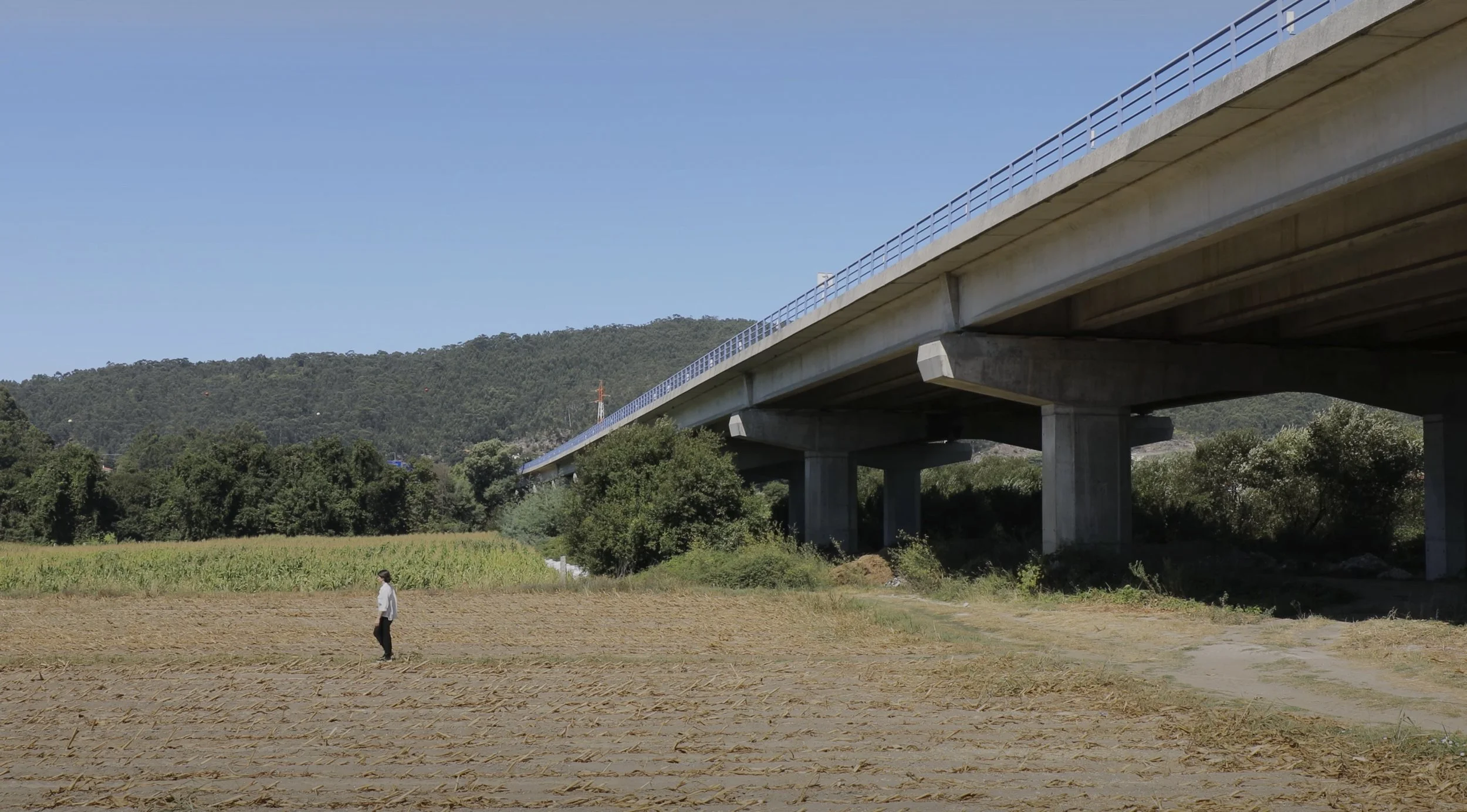 captura de ecrã 2023-04-25, às 15.45.09.jpg