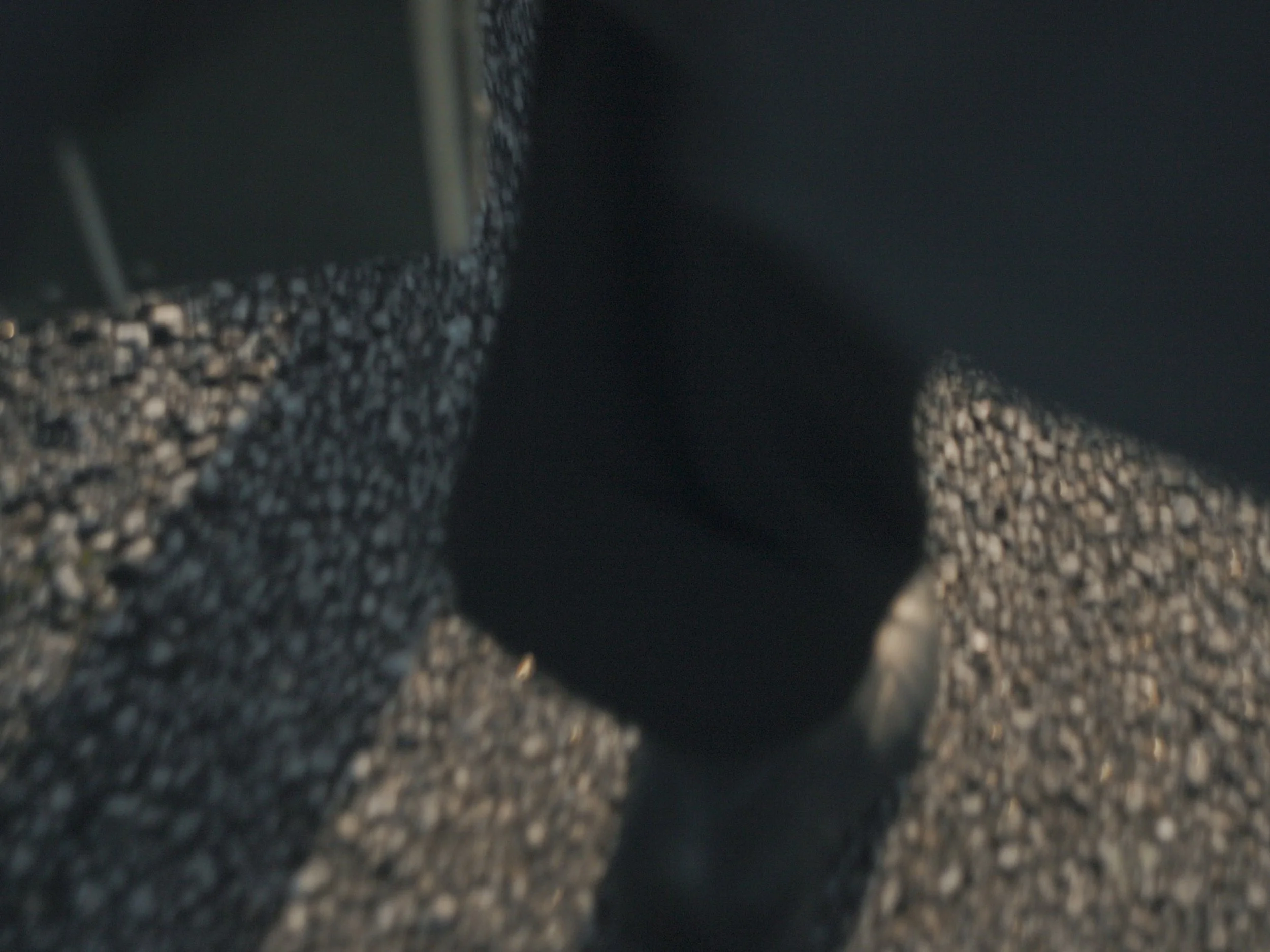 still 2025-11-09 164538_1.68.1.jpg