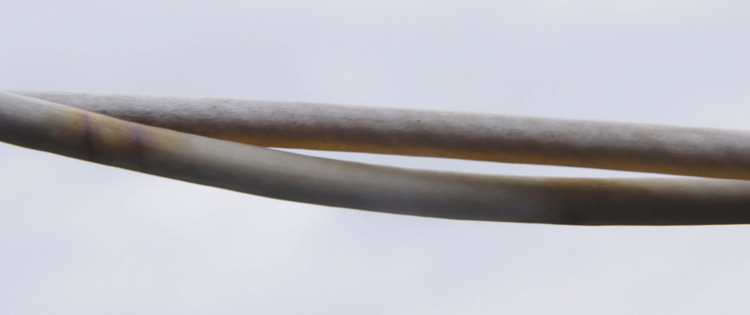 still 2025-04-12 165553_2.28.1.jpg