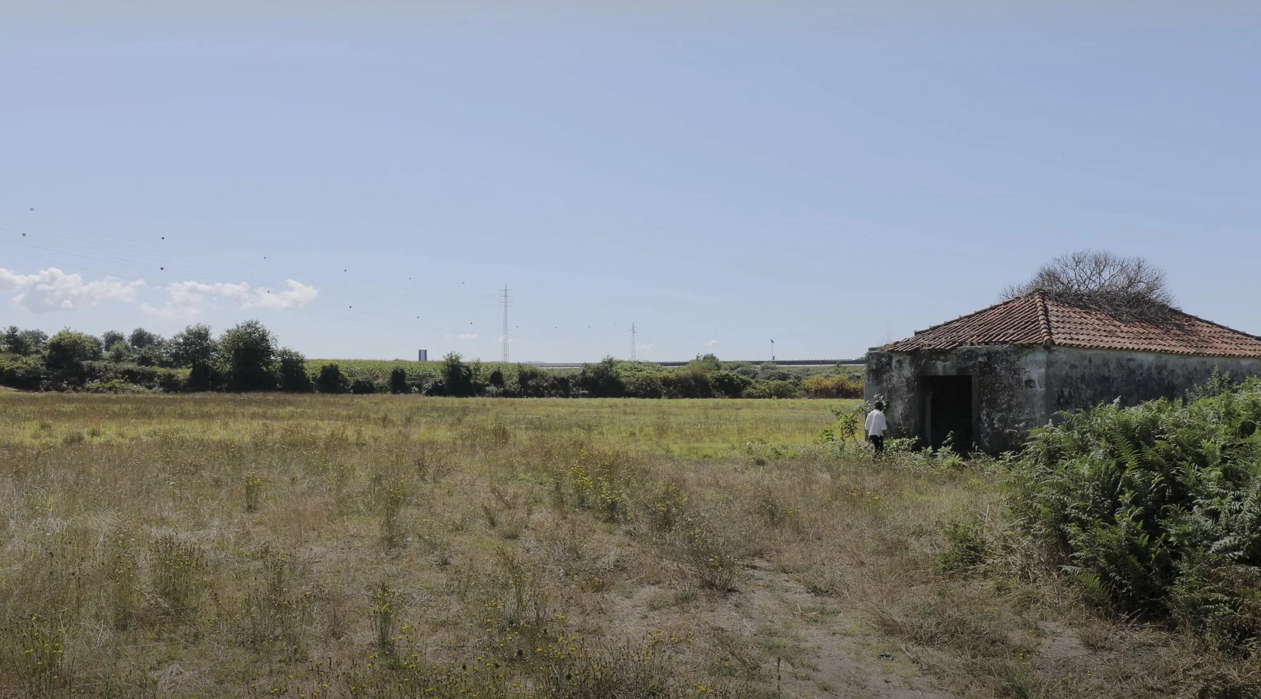 captura de ecrã 2023-04-25, às 15.42.26.jpg