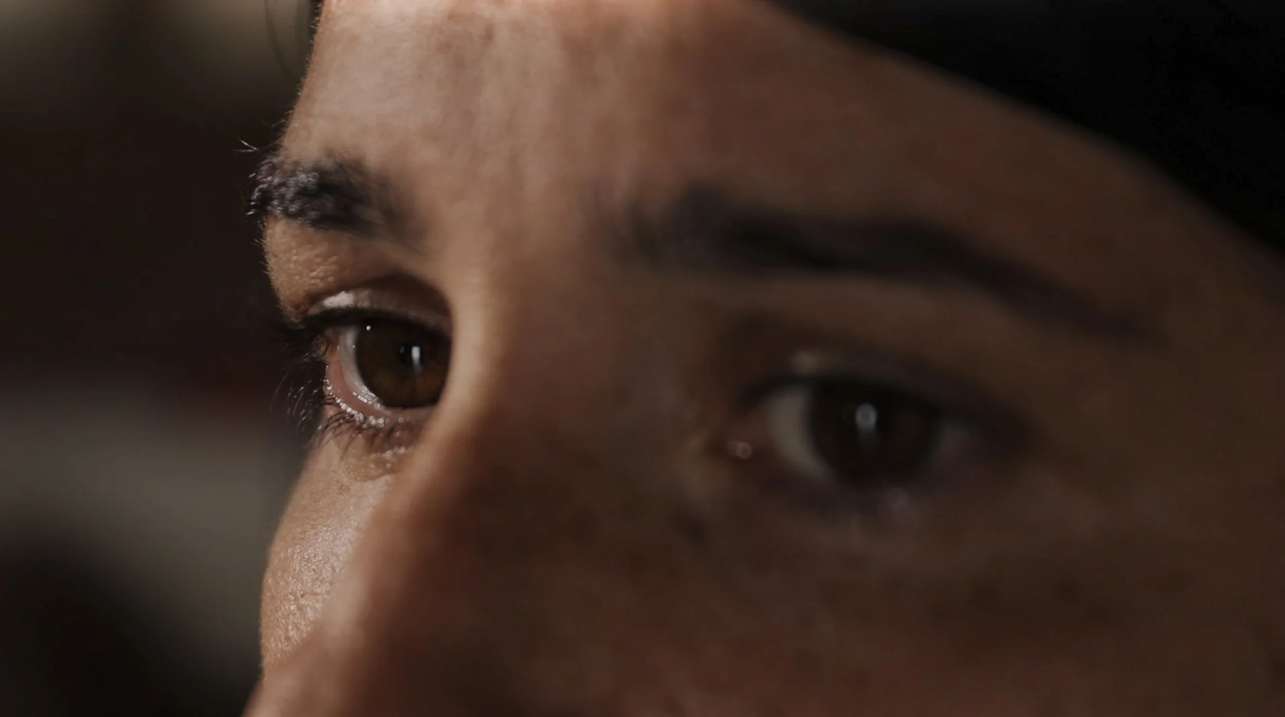 captura de ecrã 2023-04-25, às 15.43.07.jpg