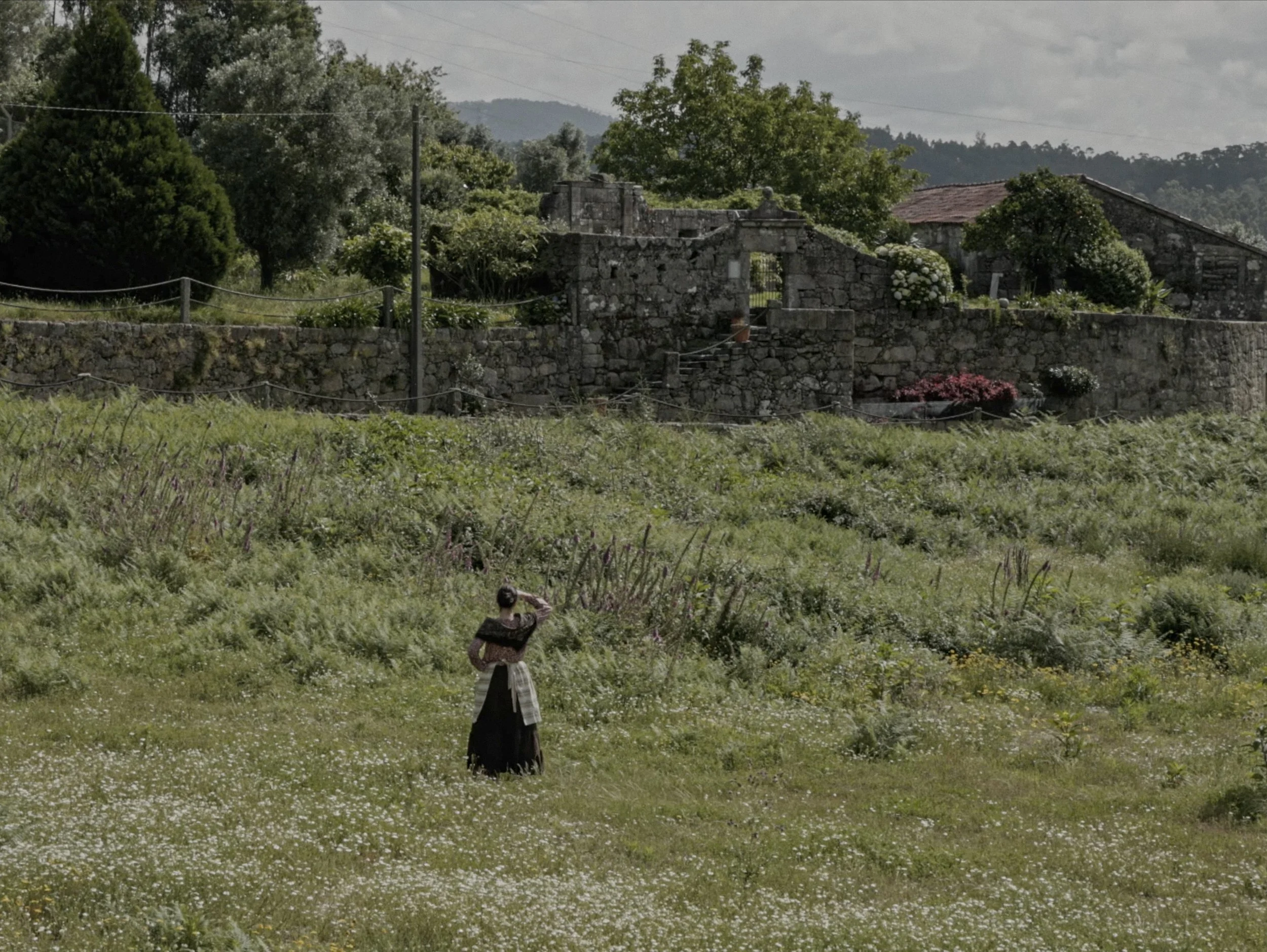 captura de ecrã 2026-02-09, às 17.11.42.jpg