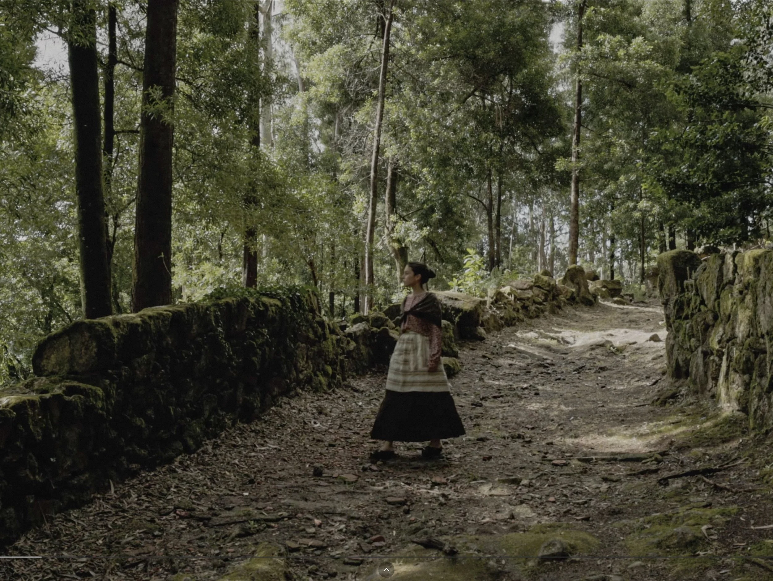 captura de ecrã 2026-02-09, às 17.10.39.jpg